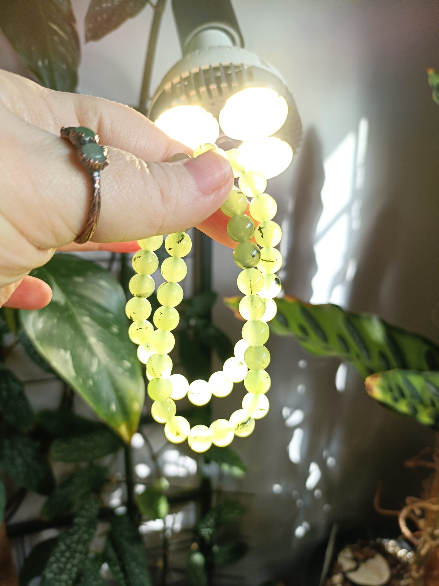 Prehnite & Epidote Round Beaded Stretch Bracelet - 8mm