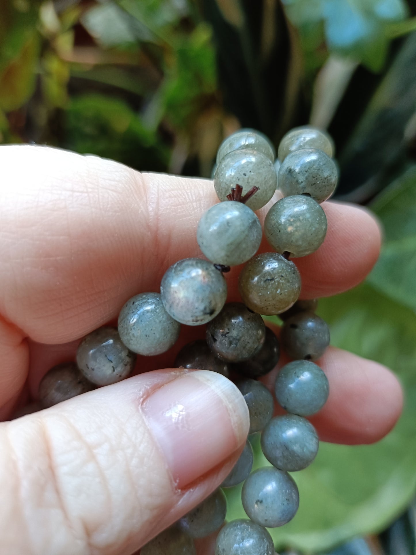 Labradorite Round Beaded Stretch Bracelet - 8mm
