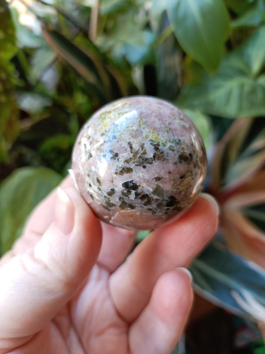 Plum Blossom 'Jade' - 122g