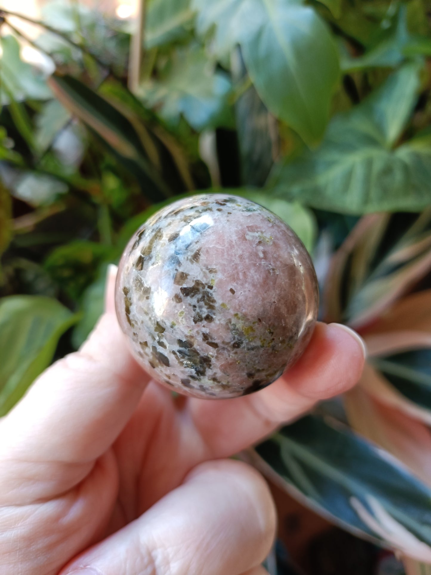 Plum Blossom 'Jade' - 122g