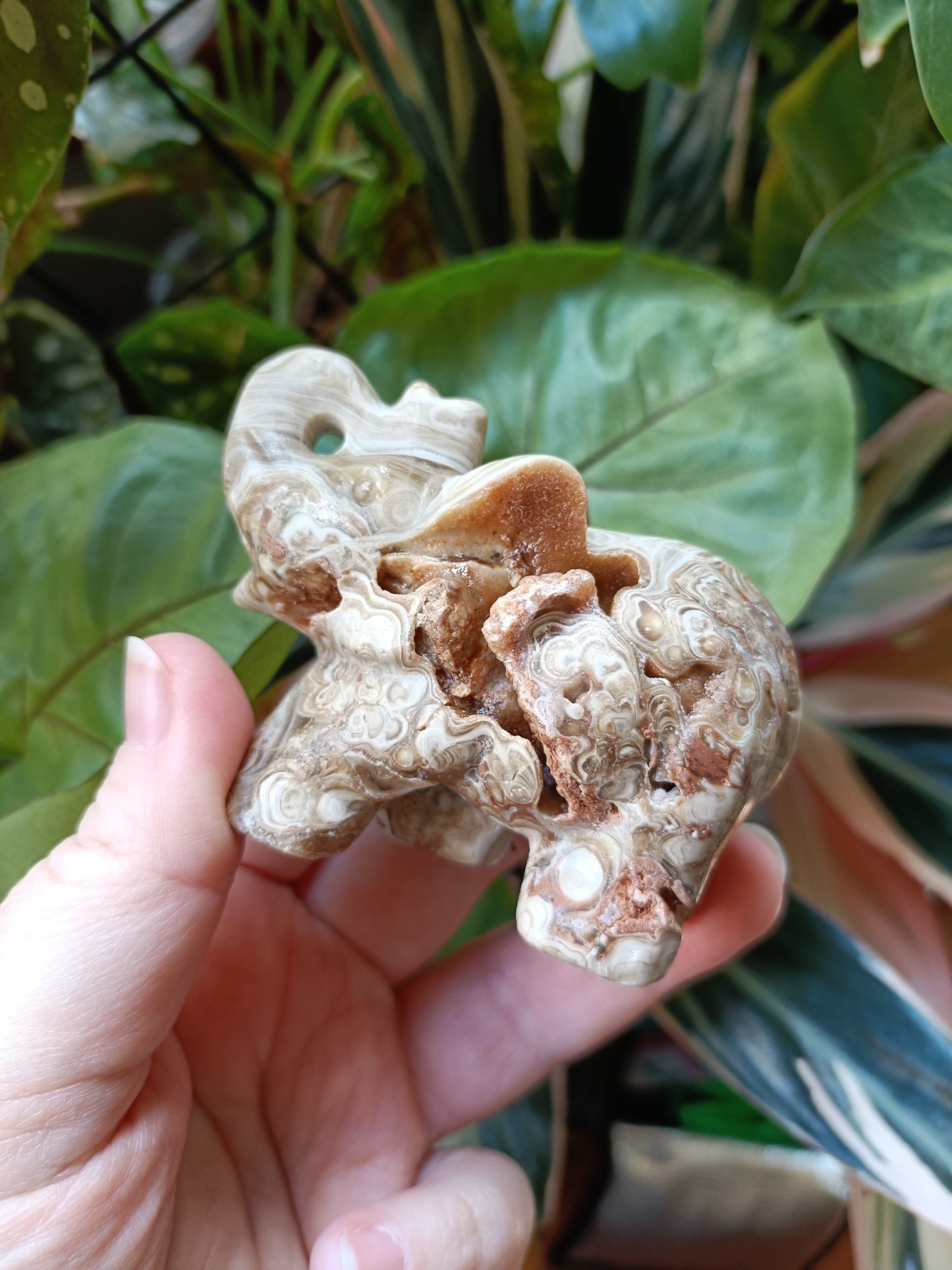 Amber Calcite Elephant - 187g