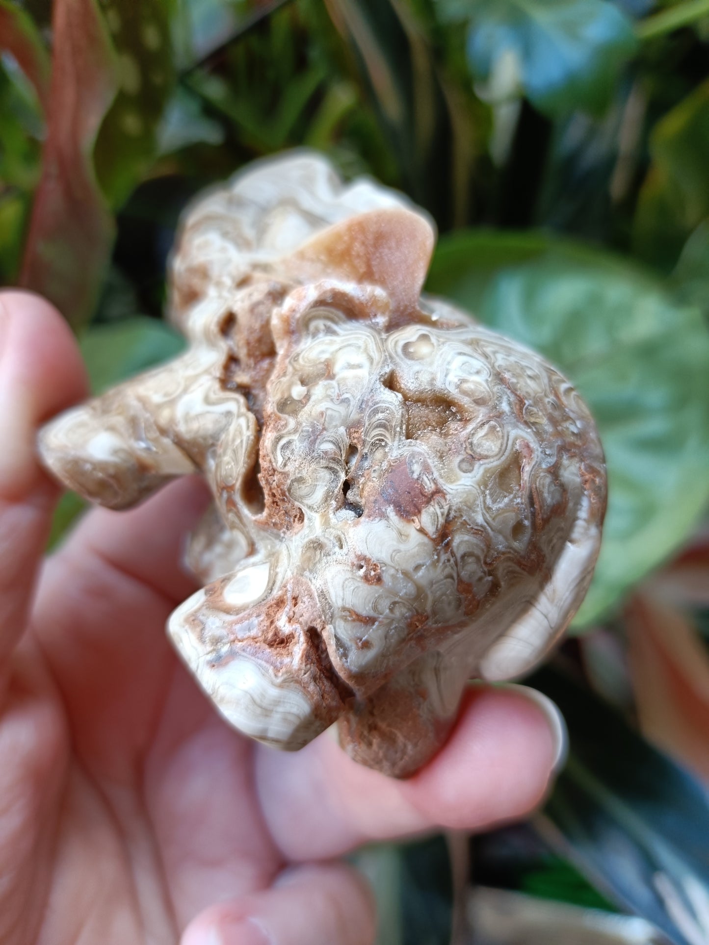 Amber Calcite Elephant - 187g