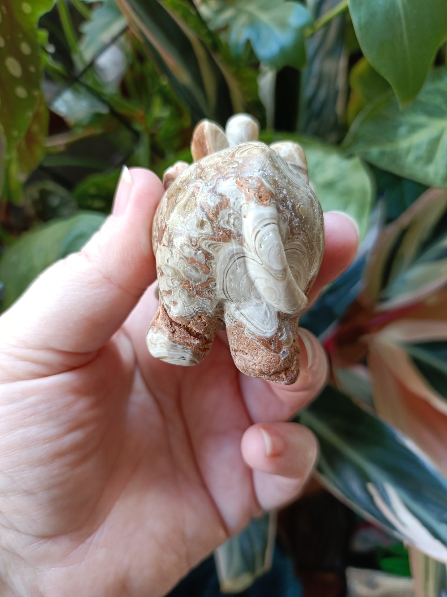 Amber Calcite Elephant - 187g