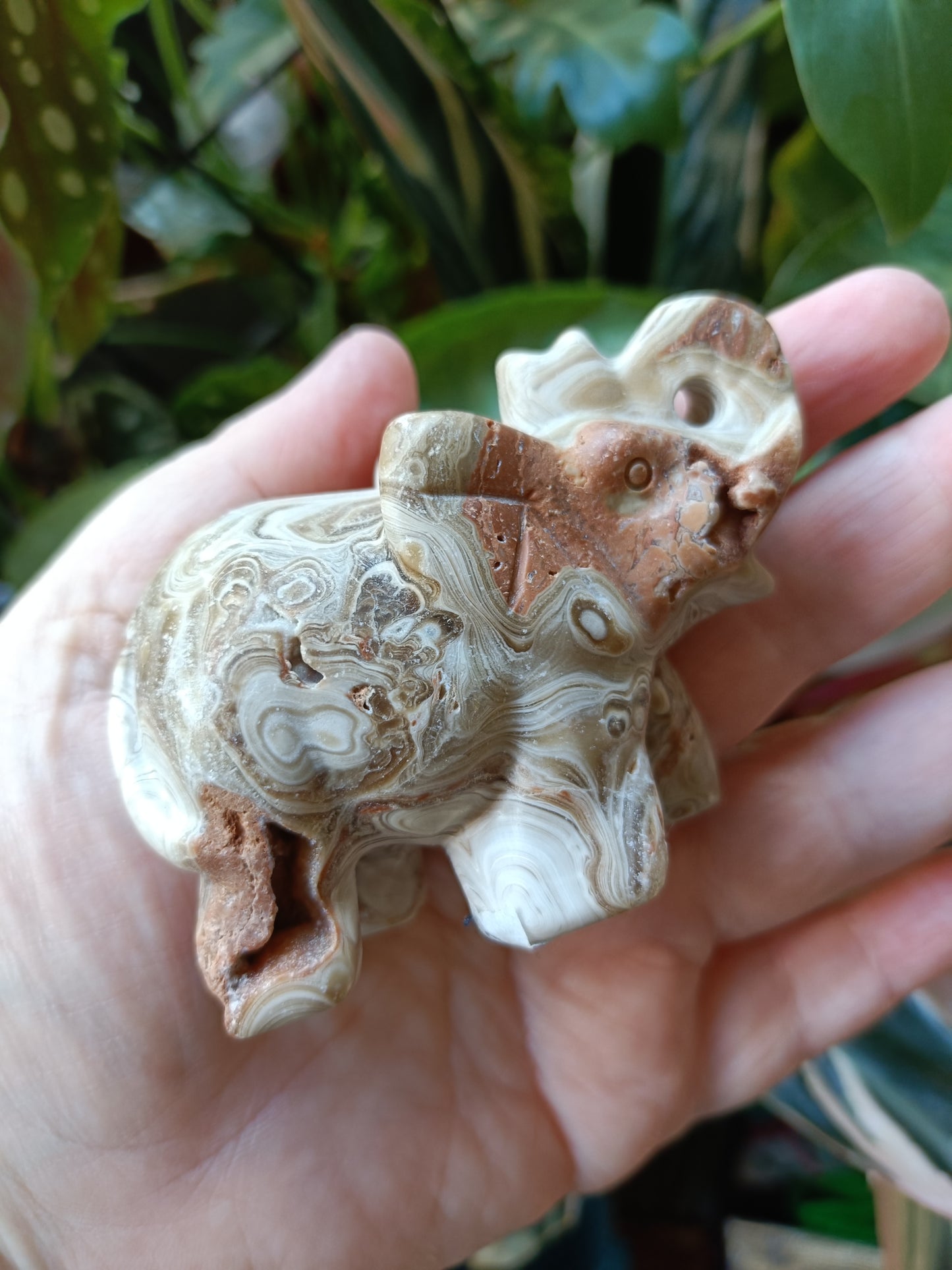 Amber Calcite Elephant - 187g