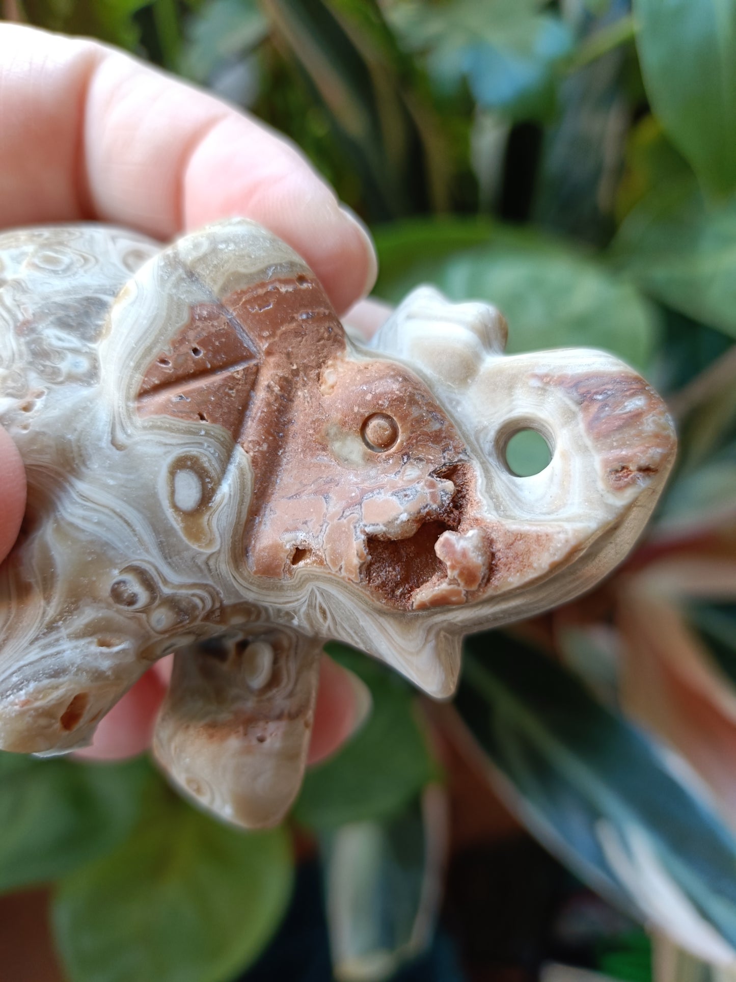 Amber Calcite Elephant - 187g