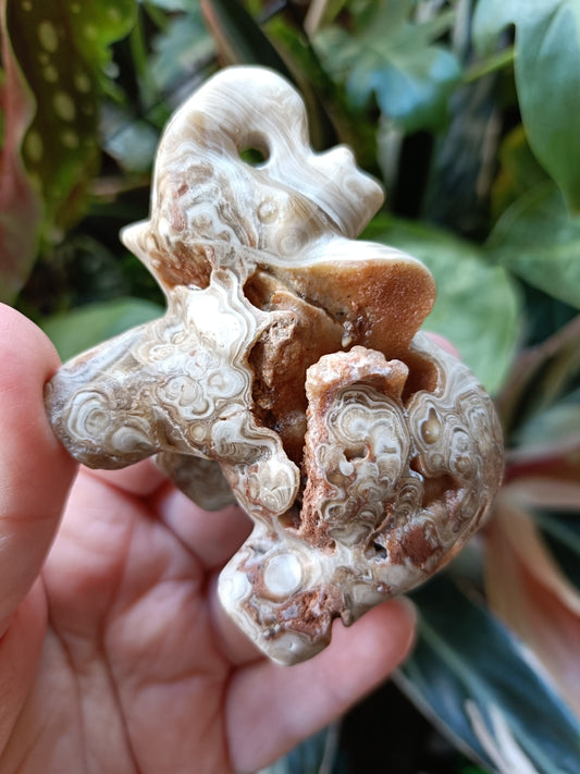 Amber Calcite Elephant - 187g