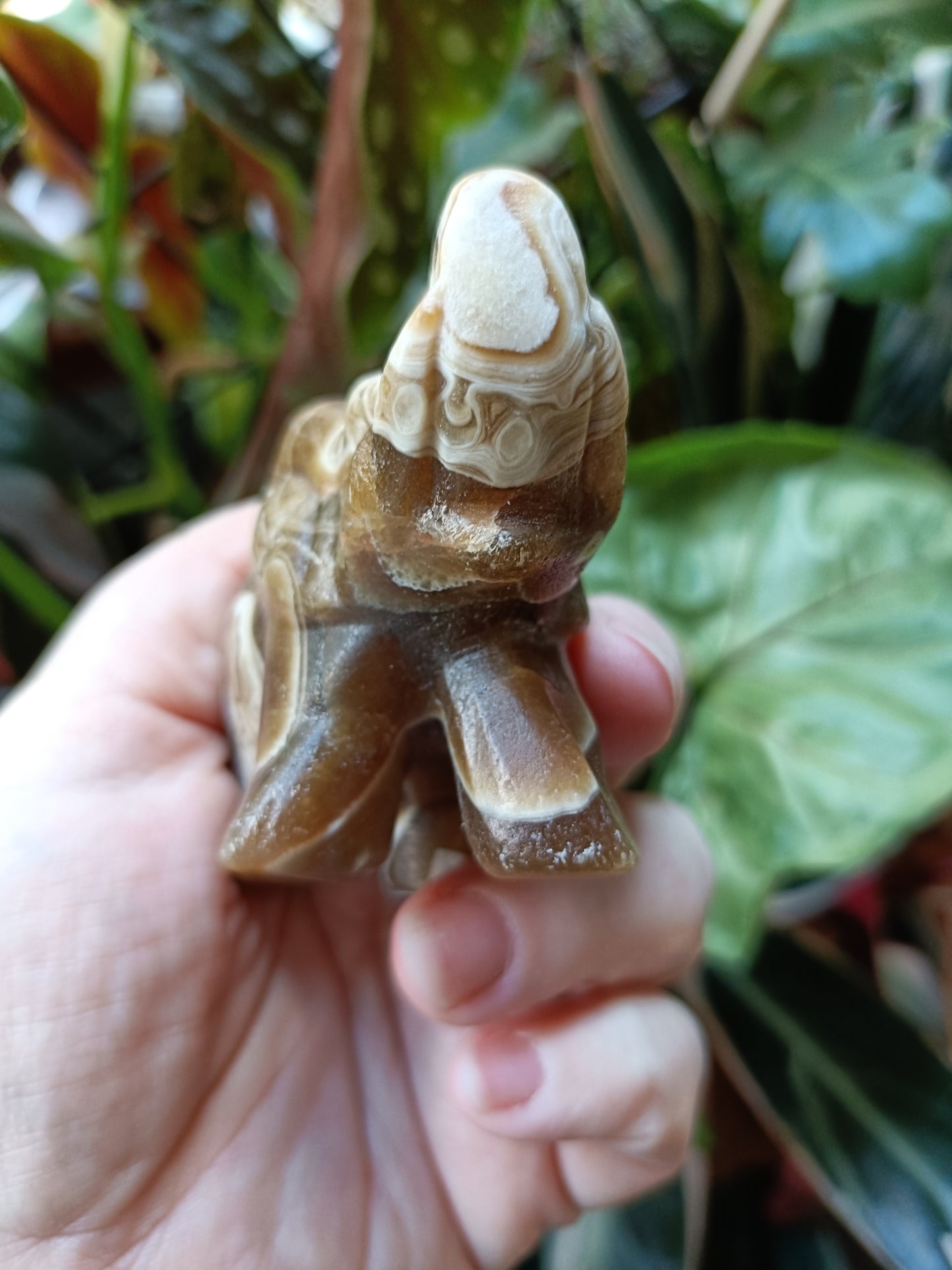 Amber Calcite Elephant - 199g