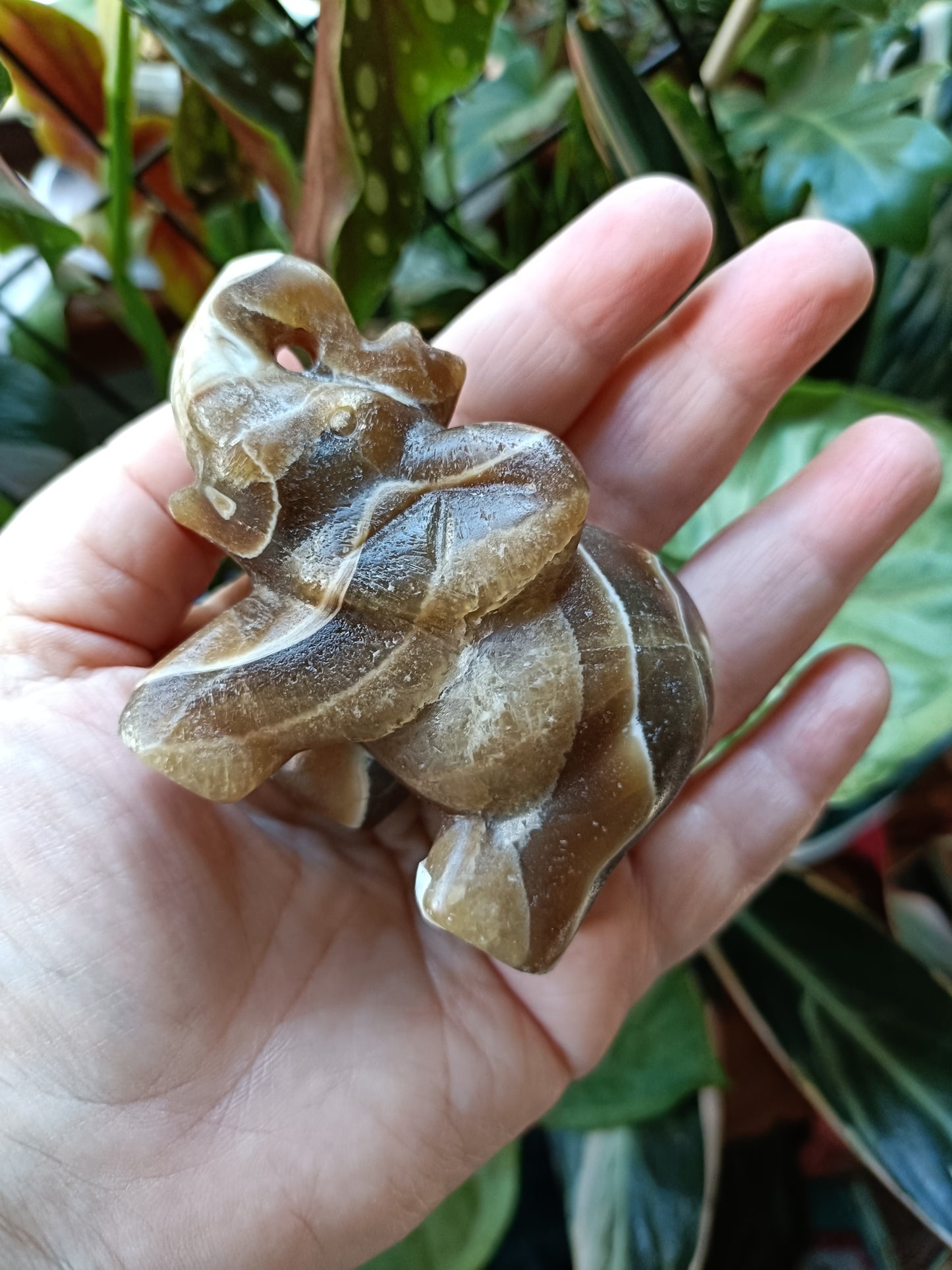 Amber Calcite Elephant - 199g