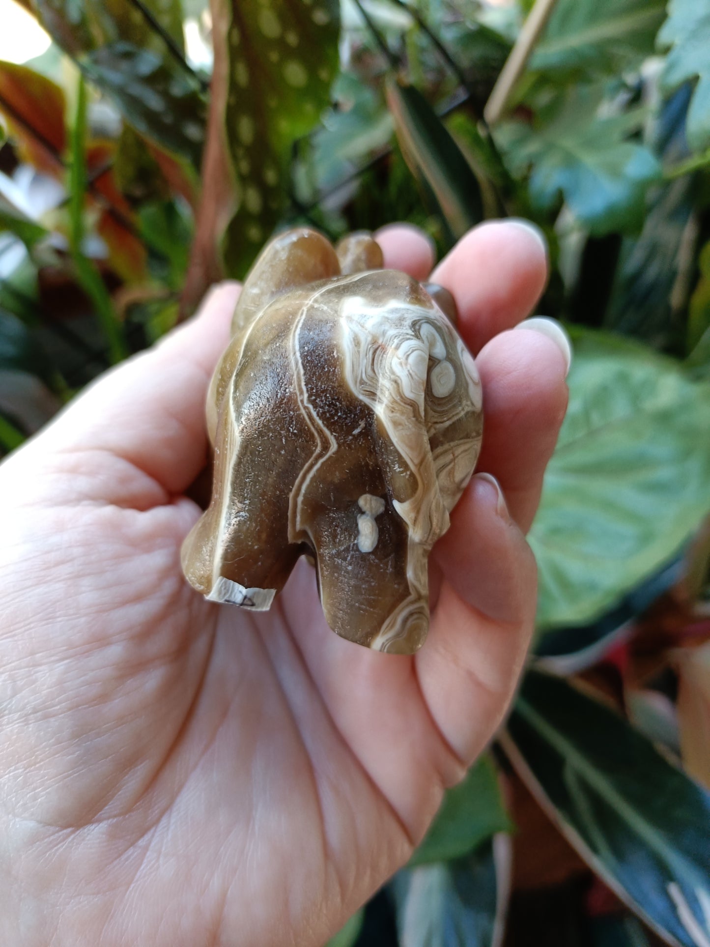 Amber Calcite Elephant - 199g