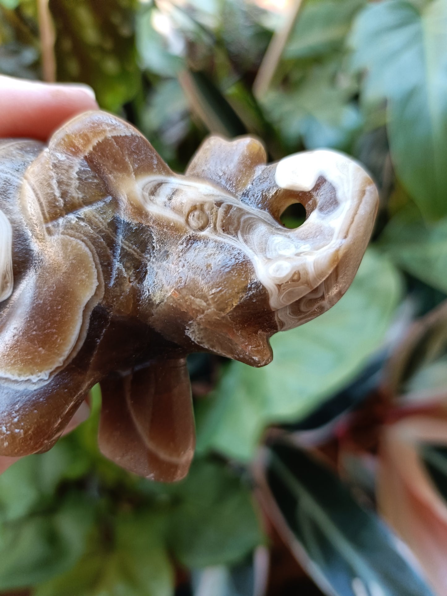 Amber Calcite Elephant - 199g