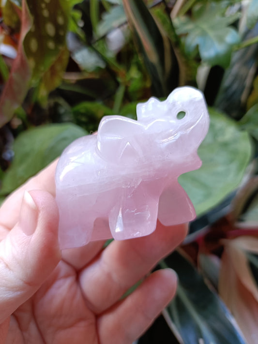 Rose Quartz Elephant (DAMAGED) - 97g
