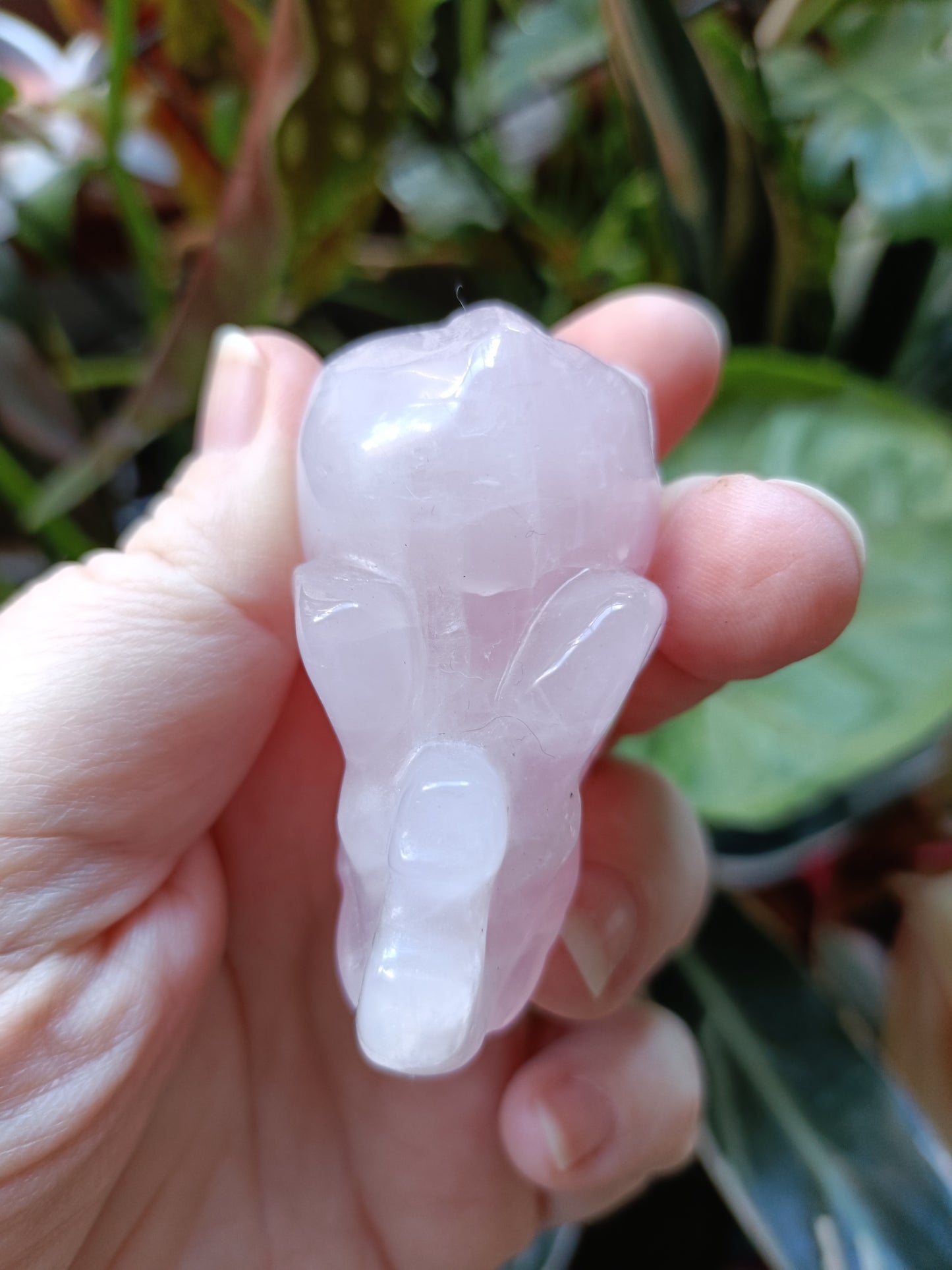 Rose Quartz Elephant (DAMAGED) - 97g