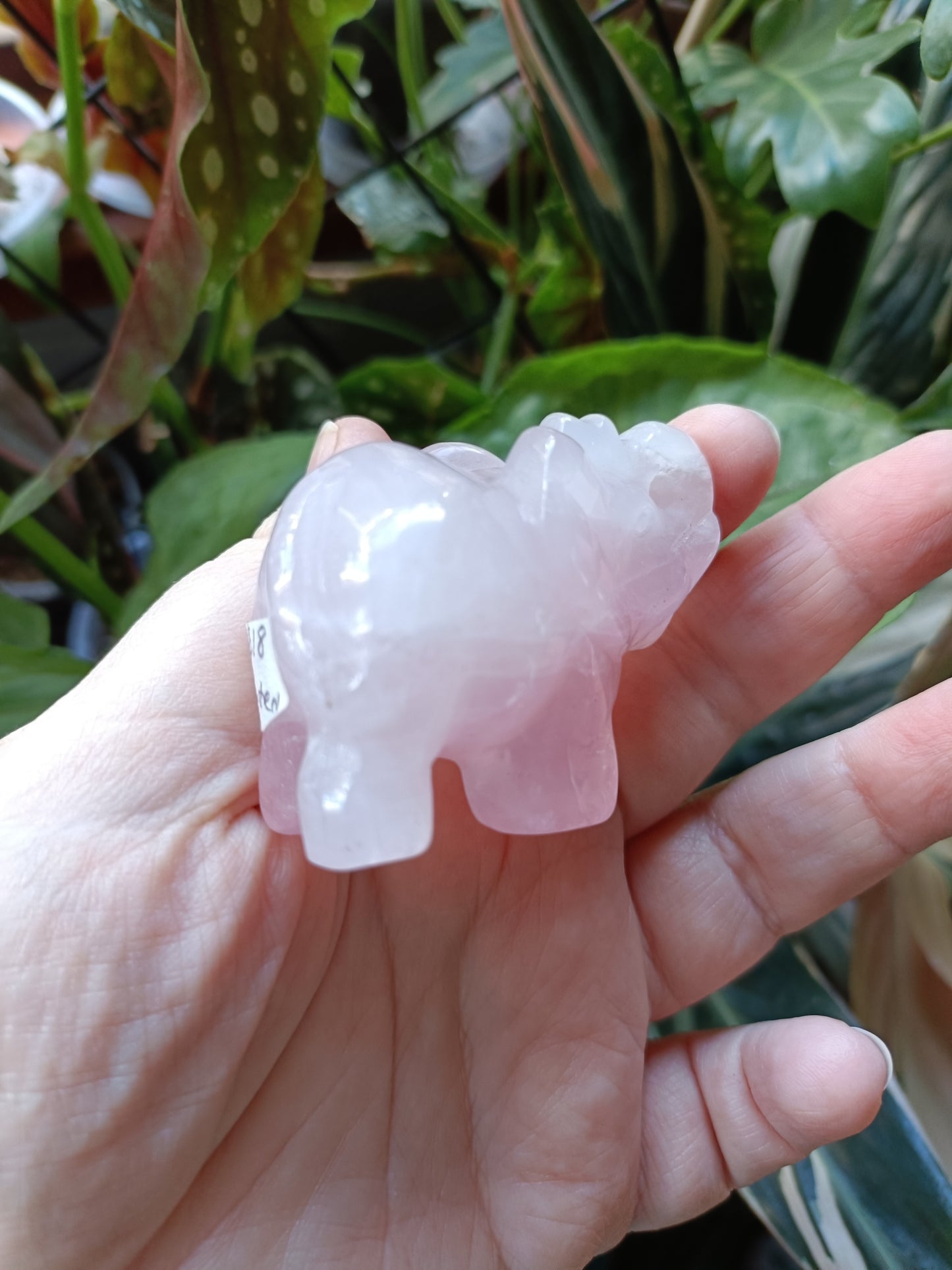 Rose Quartz Elephant (DAMAGED) - 97g