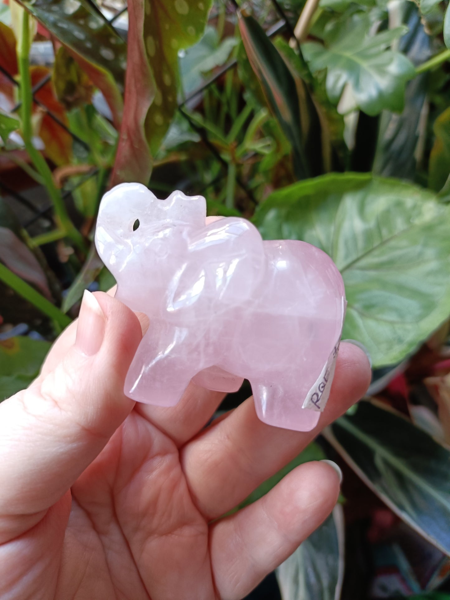 Rose Quartz Elephant - 94g