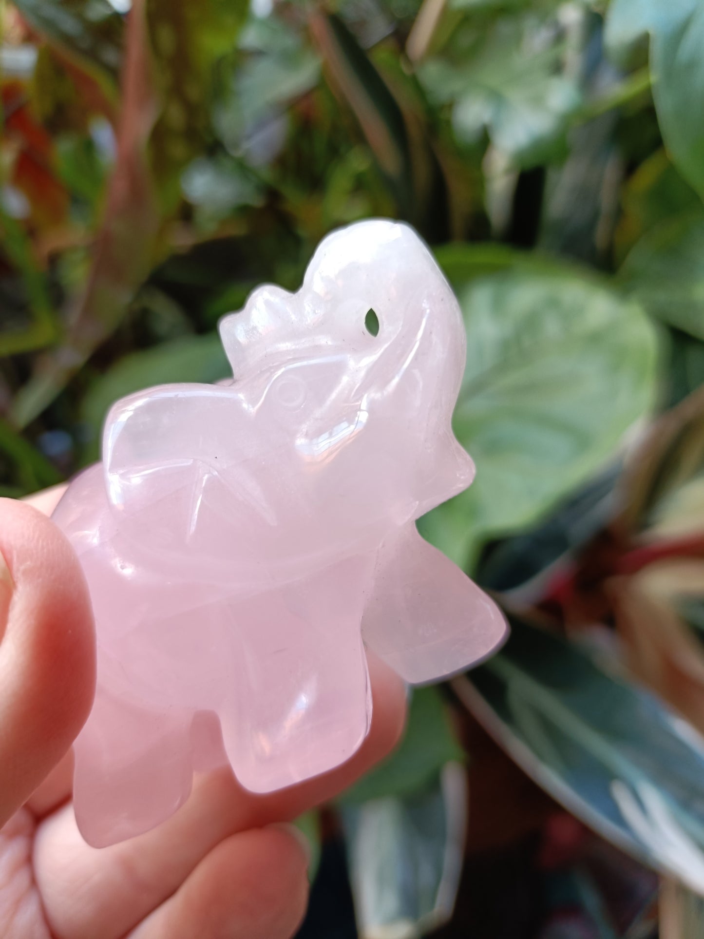 Rose Quartz Elephant - 94g