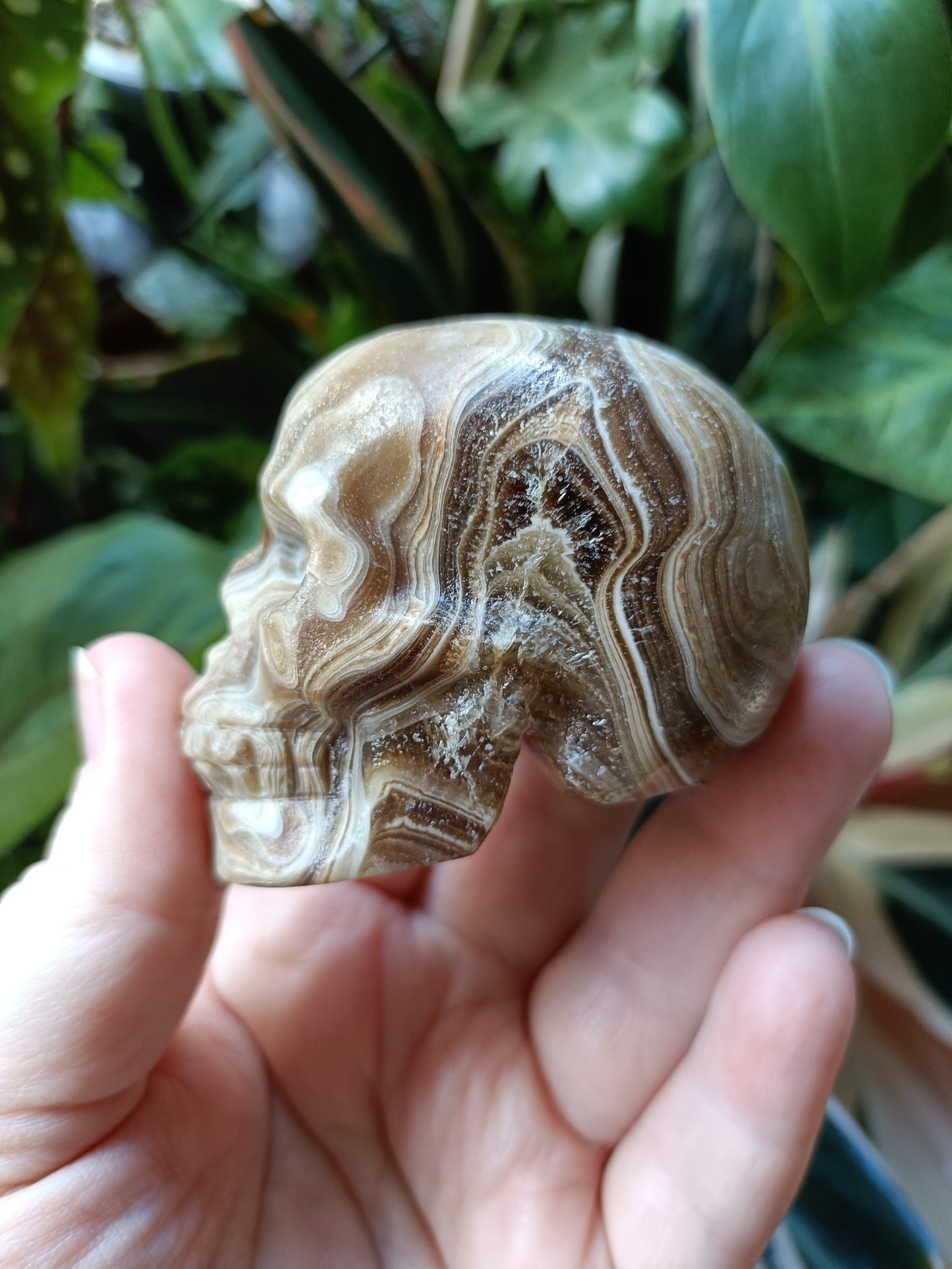 Amber Calcite Skull - 226g