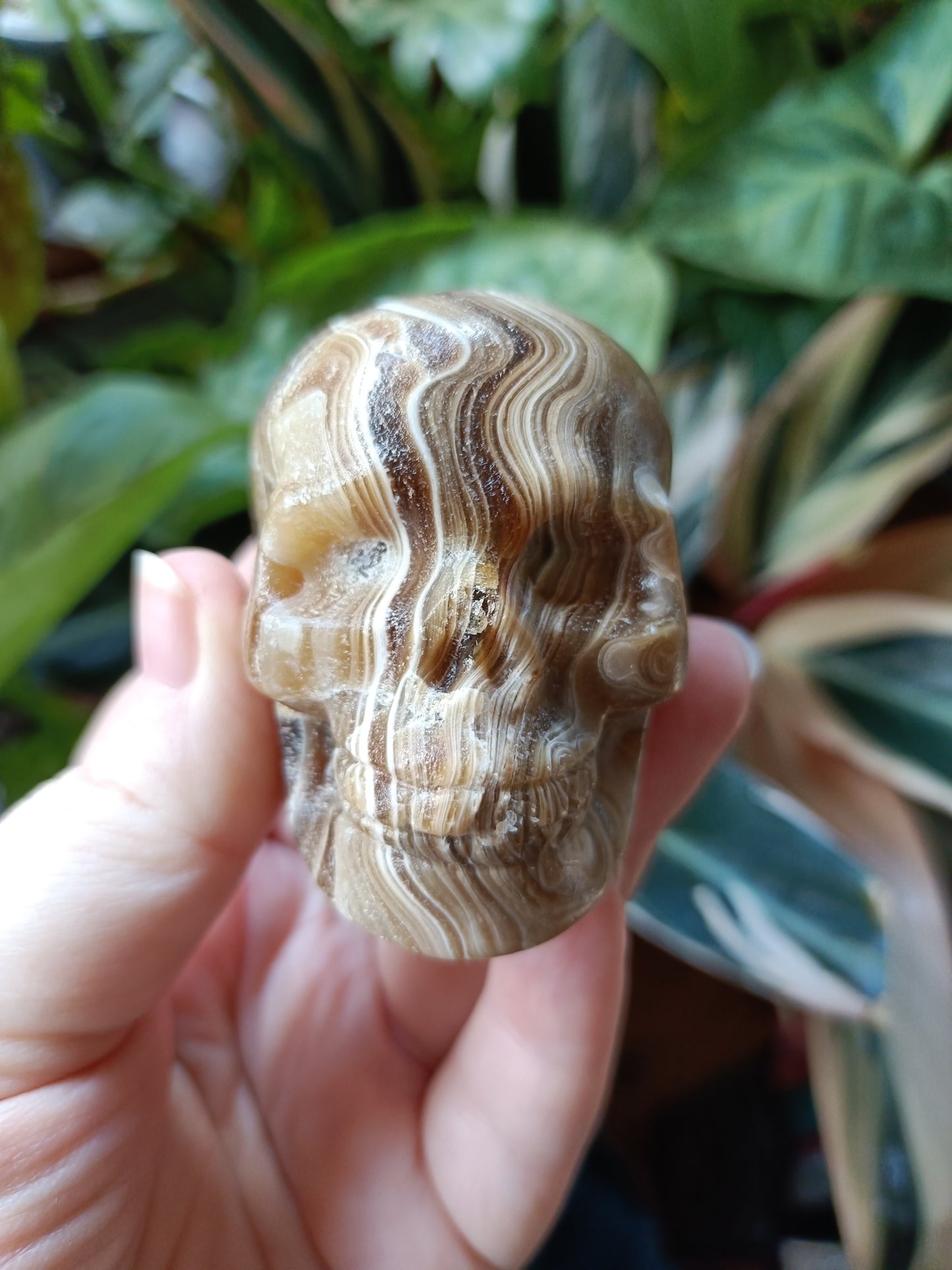 Amber Calcite Skull - 226g
