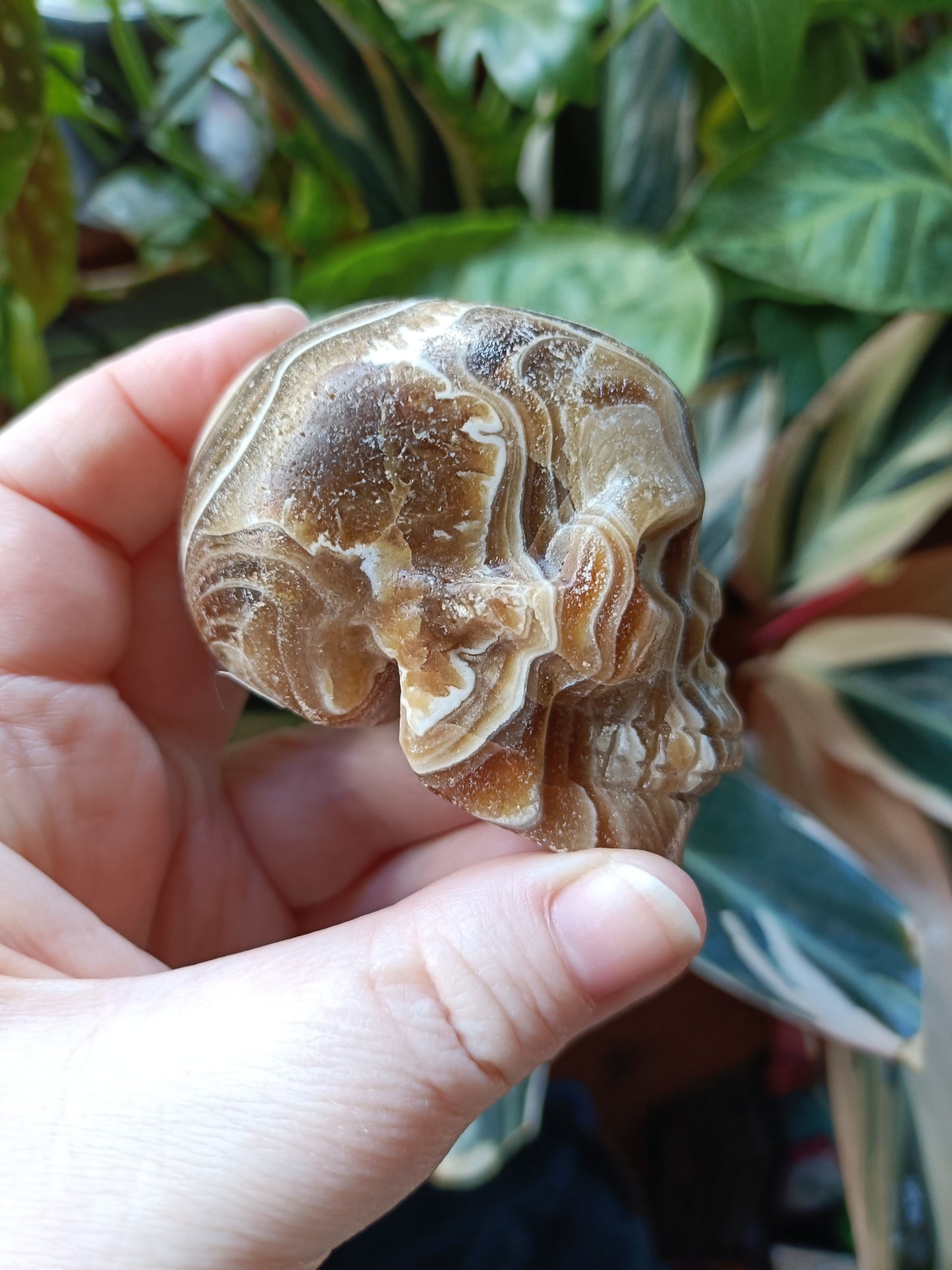 Amber Calcite Skull - 226g