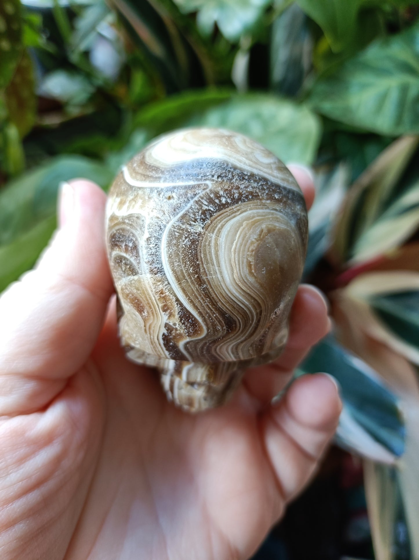Amber Calcite Skull - 226g