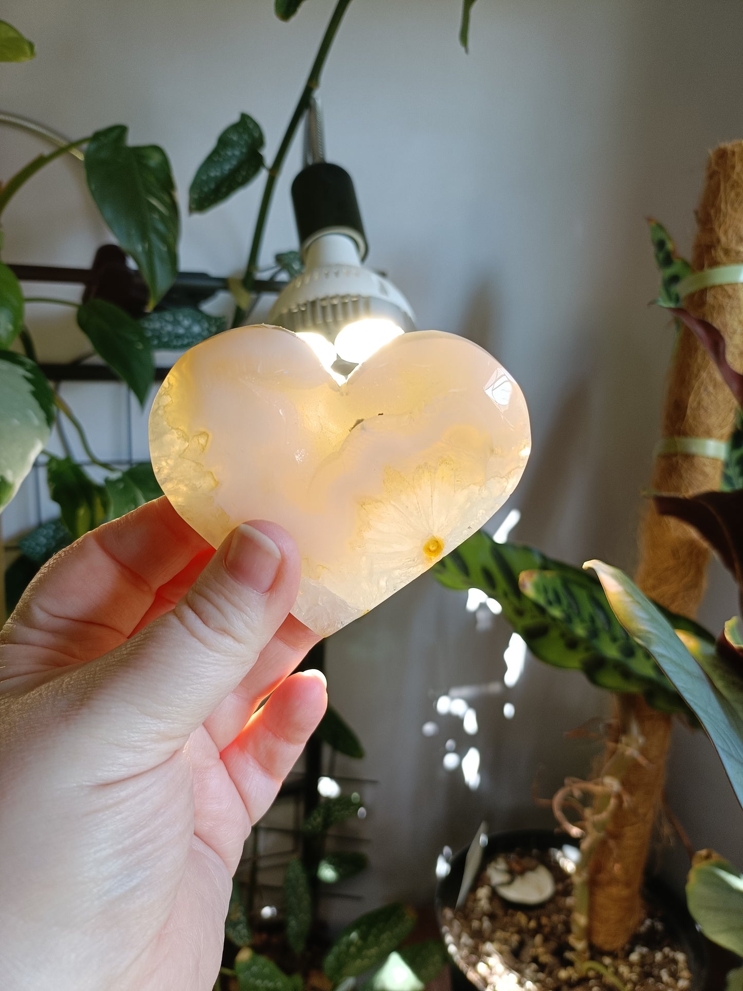 Pink Flower Agate Heart - 157g