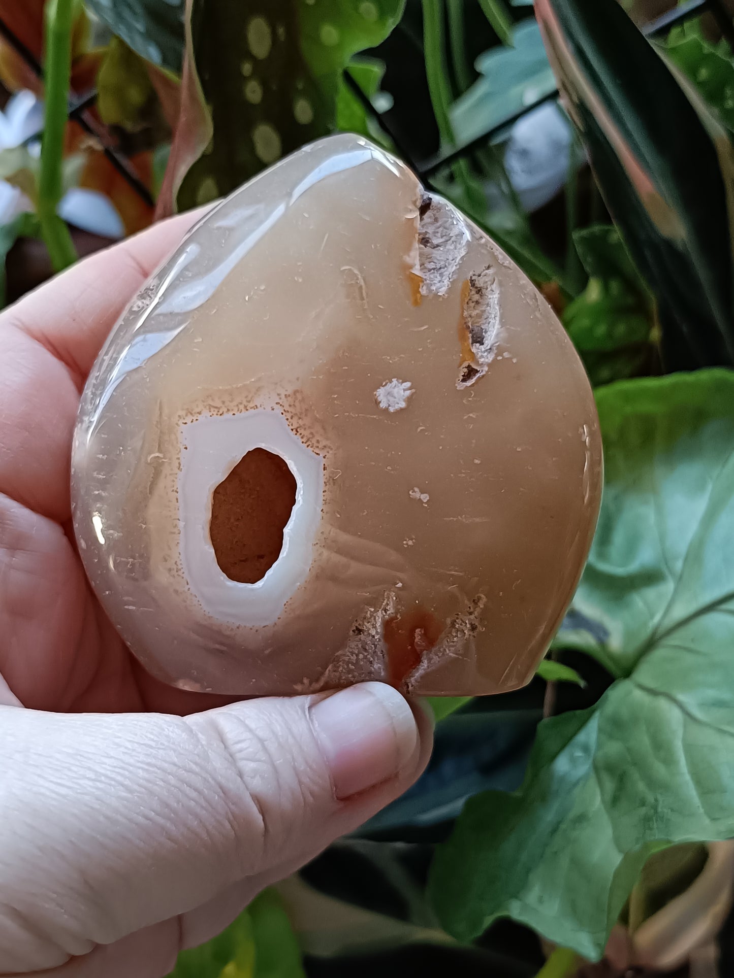 Pink Flower Agate Teardrop Freeform - 201g