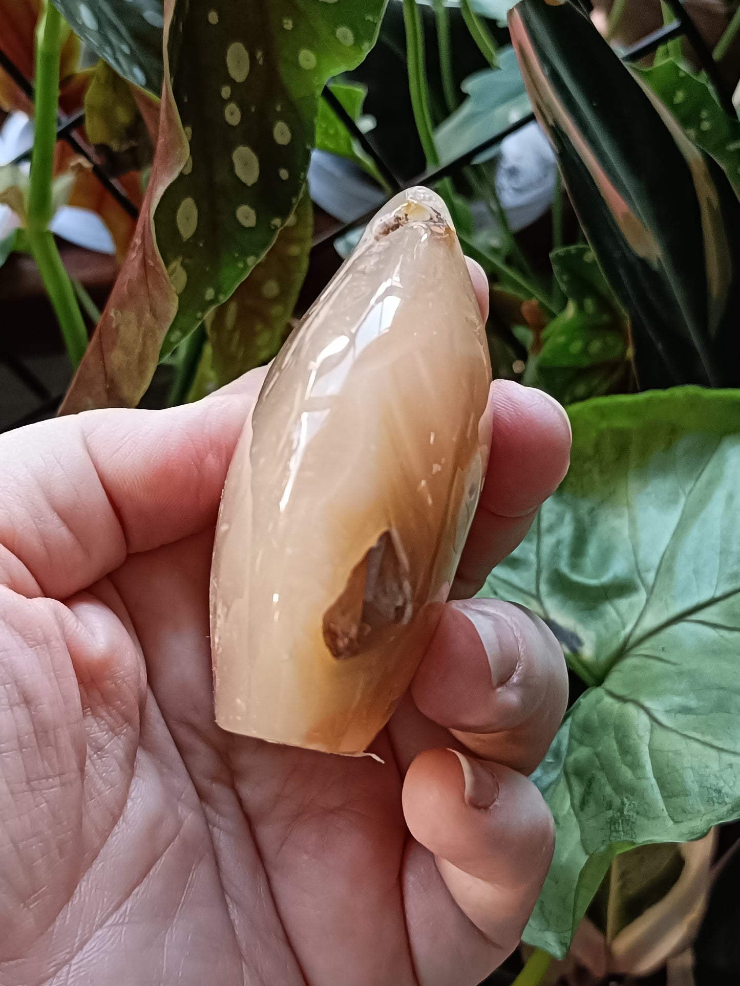 Pink Flower Agate Teardrop Freeform - 201g