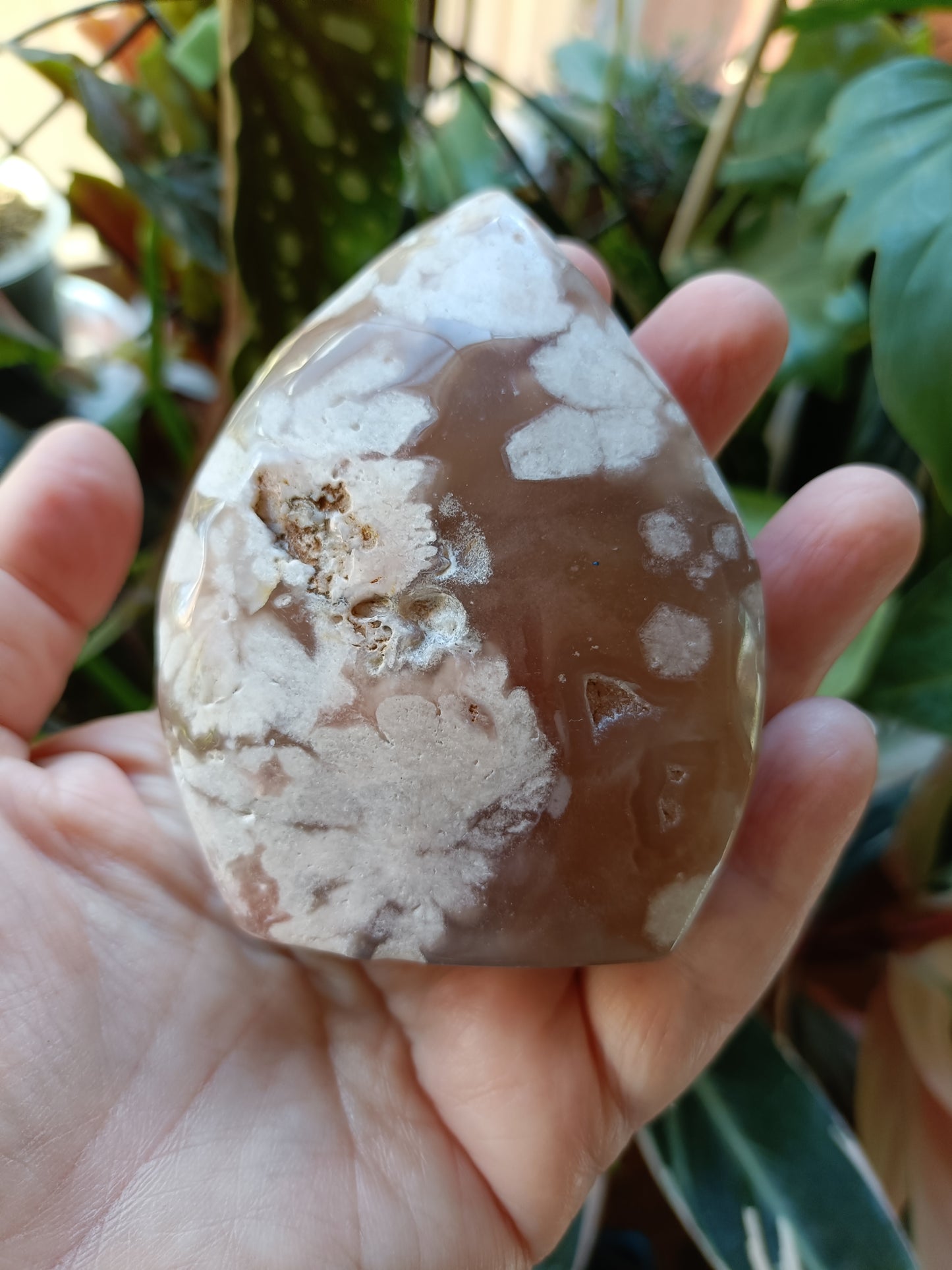 Pink Flower Agate Teardrop Freeform - 261g