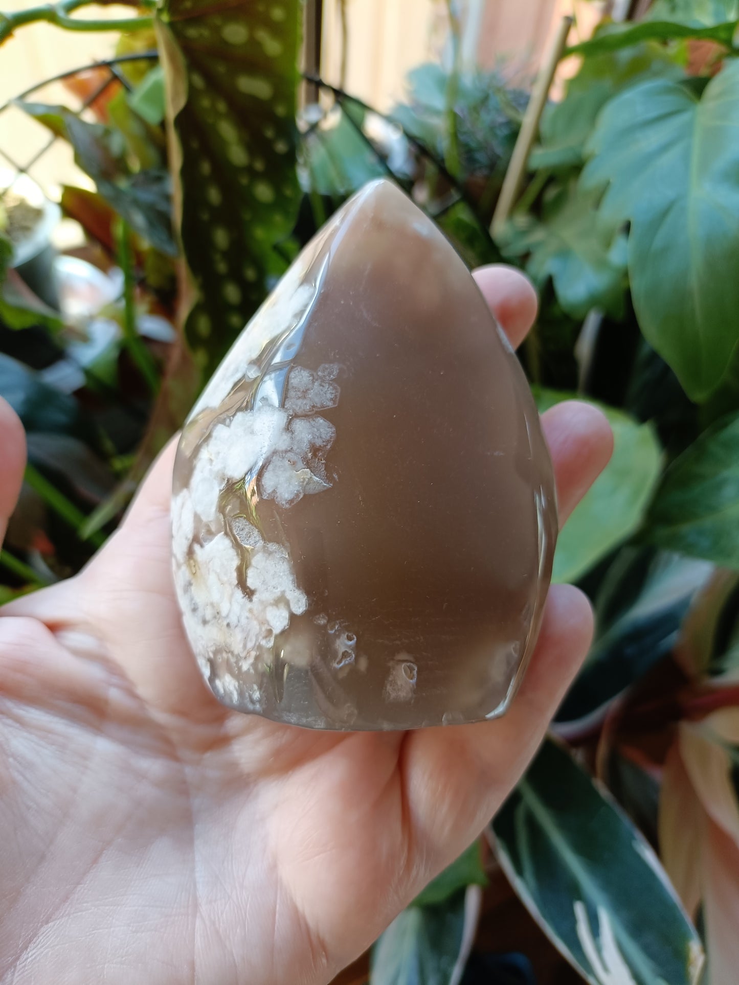 Pink Flower Agate Teardrop Freeform - 261g