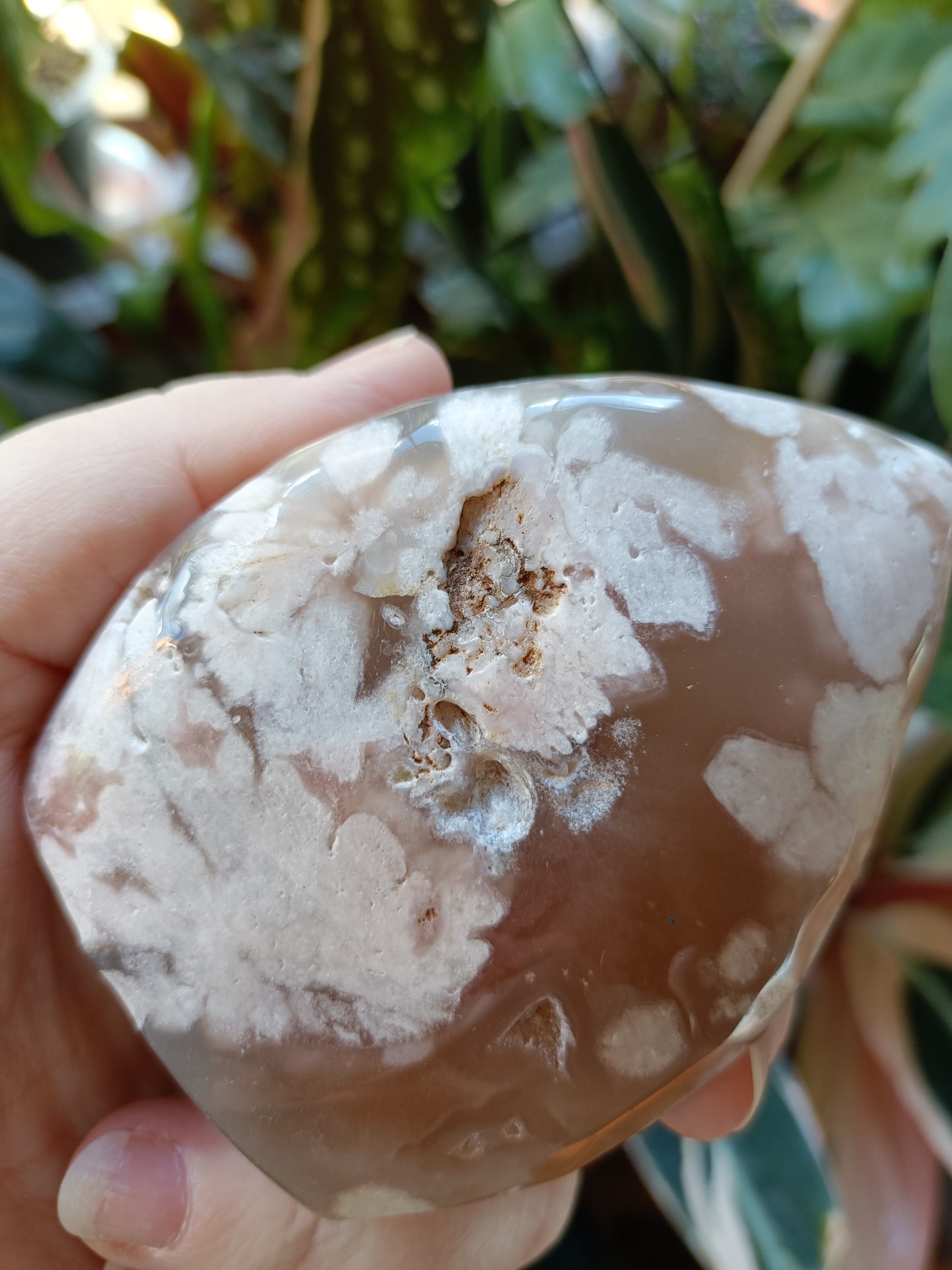 Pink Flower Agate Teardrop Freeform - 261g