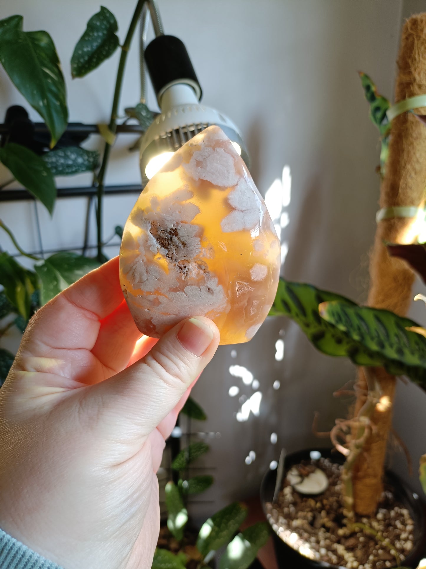 Pink Flower Agate Teardrop Freeform - 261g