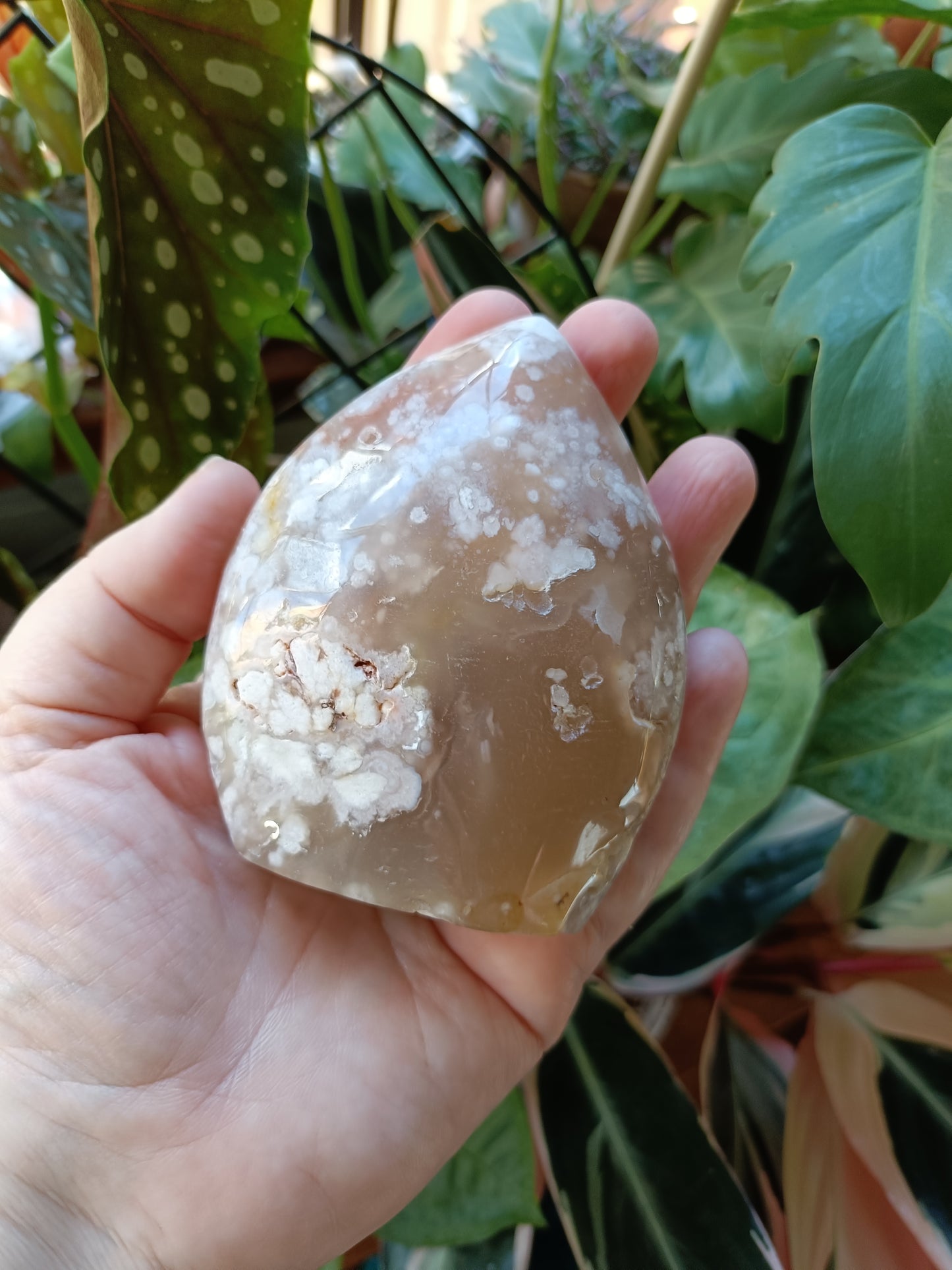 Pink Flower Agate Teardrop Freeform - 331g