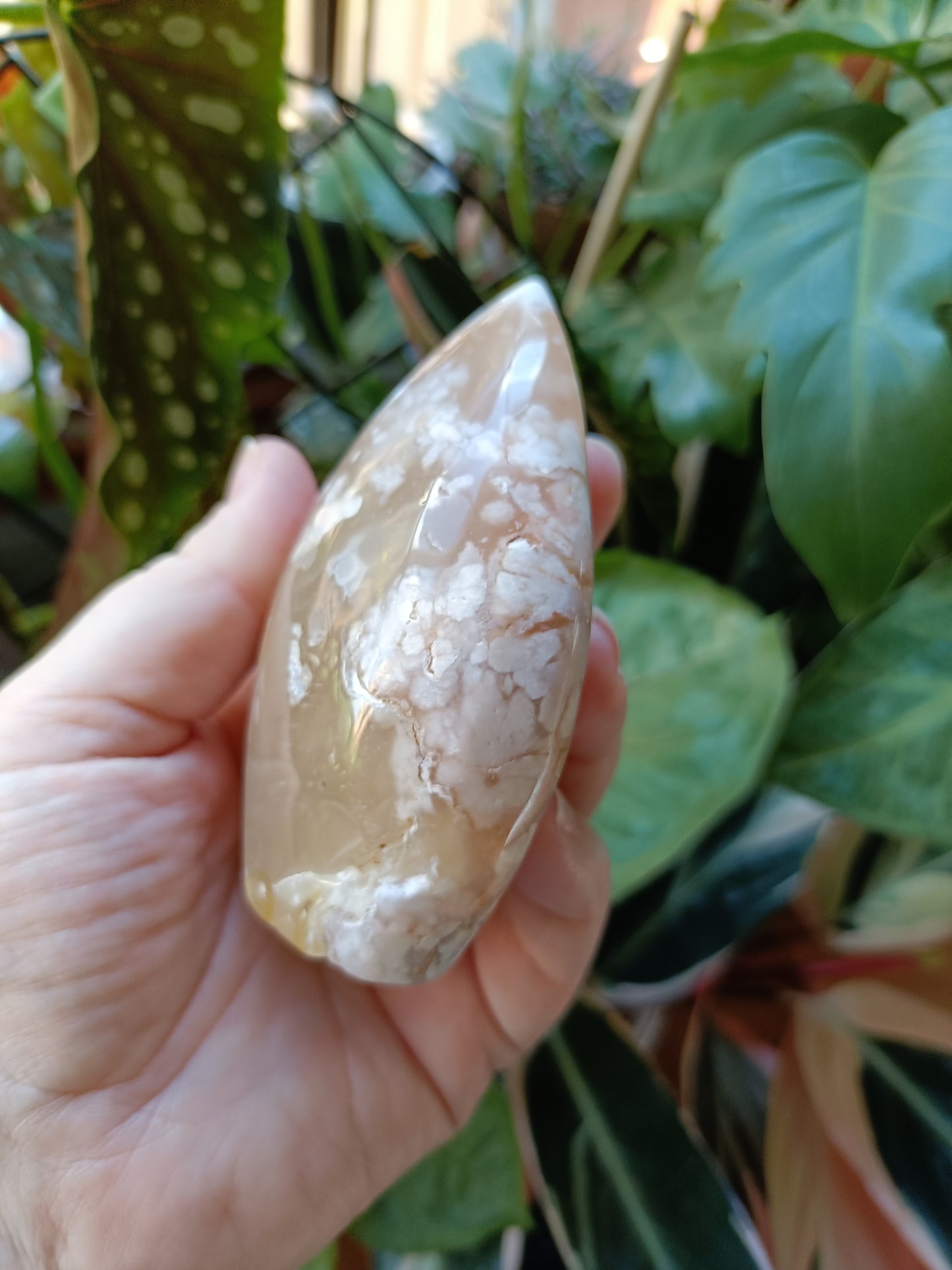 Pink Flower Agate Teardrop Freeform - 331g