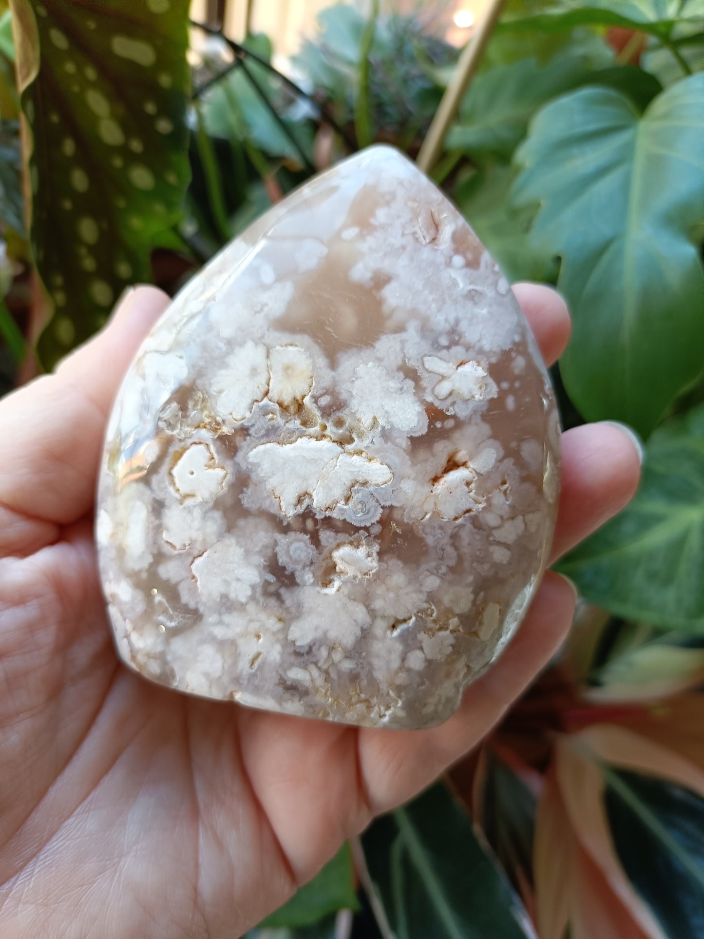 Pink Flower Agate Teardrop Freeform - 331g