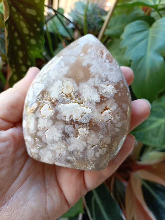 Pink Flower Agate Teardrop Freeform - 331g
