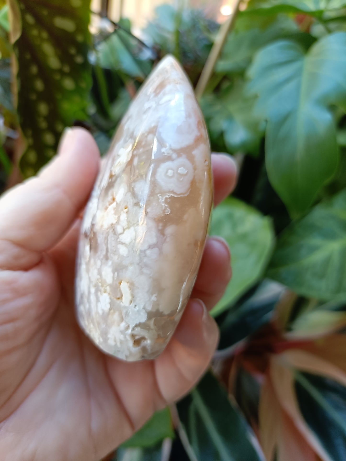 Pink Flower Agate Teardrop Freeform - 331g