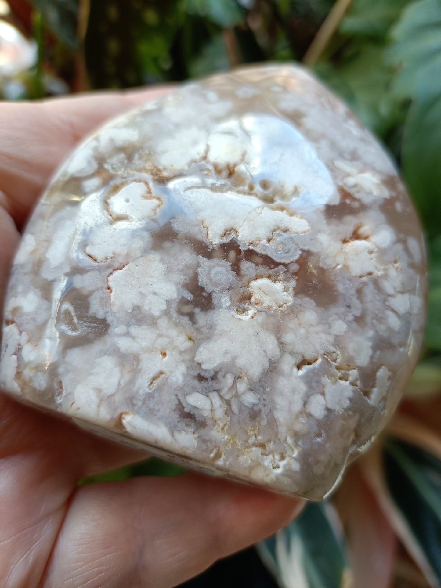 Pink Flower Agate Teardrop Freeform - 331g