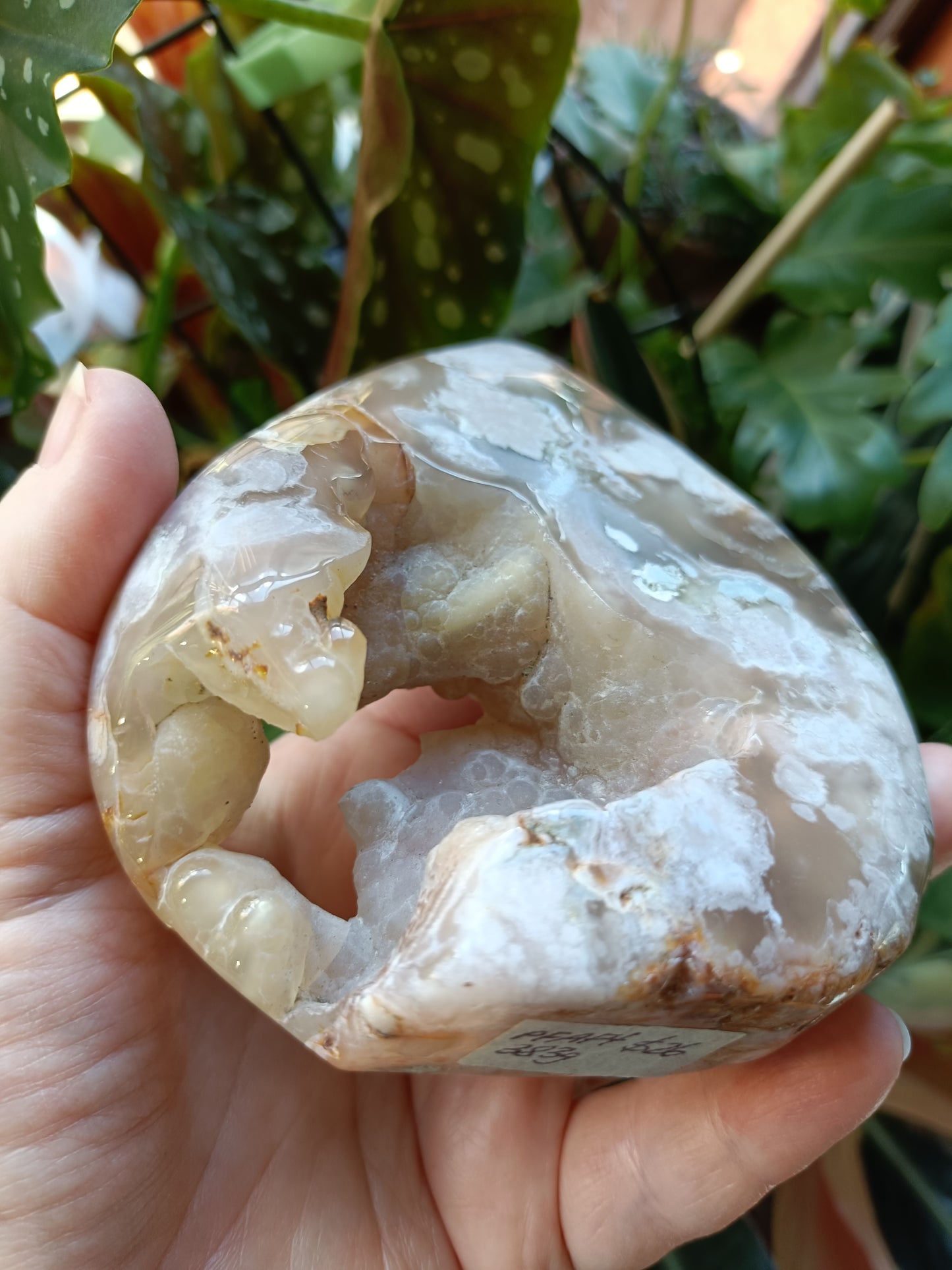 Pink Amethyst & Flower Agate Teardrop Freeform - 383g
