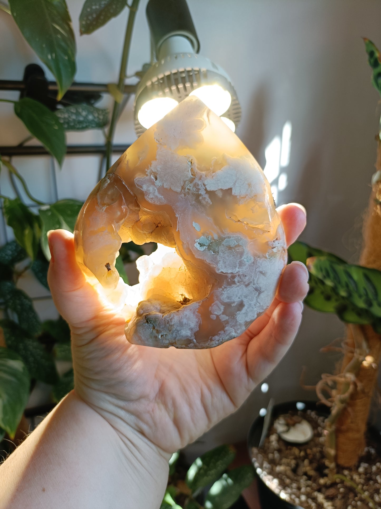 Pink Amethyst & Flower Agate Teardrop Freeform - 383g