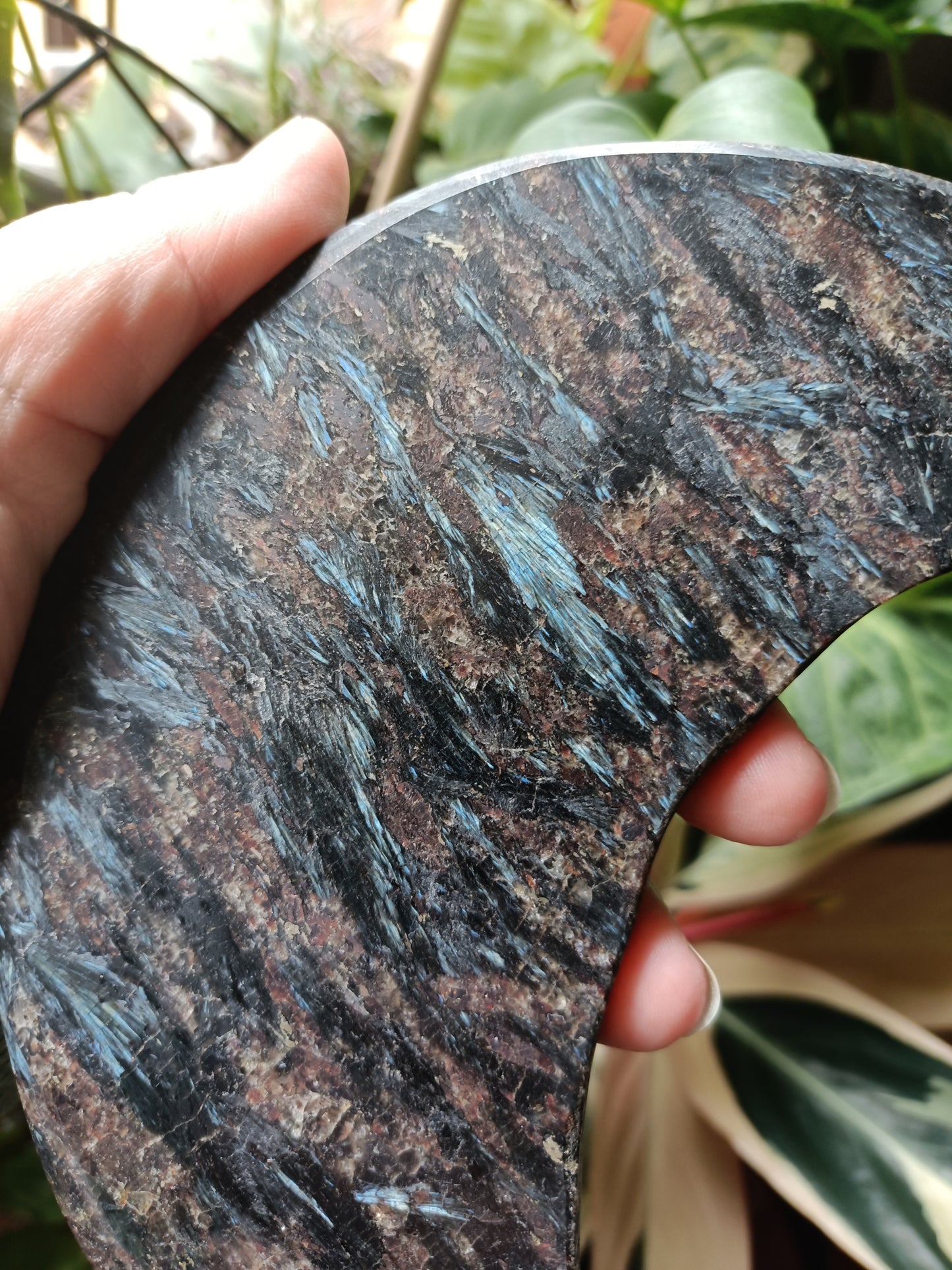 Arfvedsonite 'Firework Stone' Moon + Stand - 351g