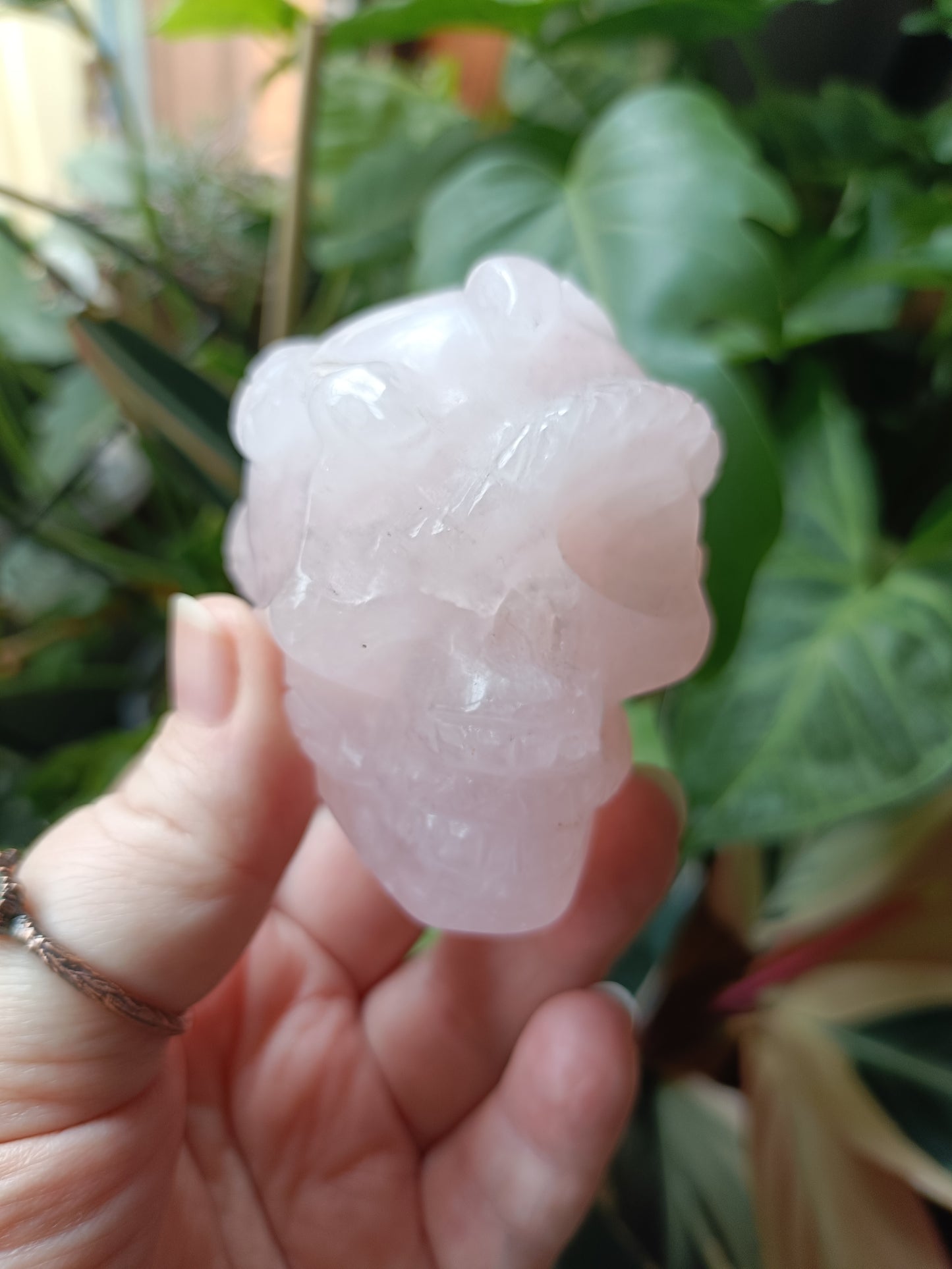 Rose Quartz Skull & Snake Carving - 262g