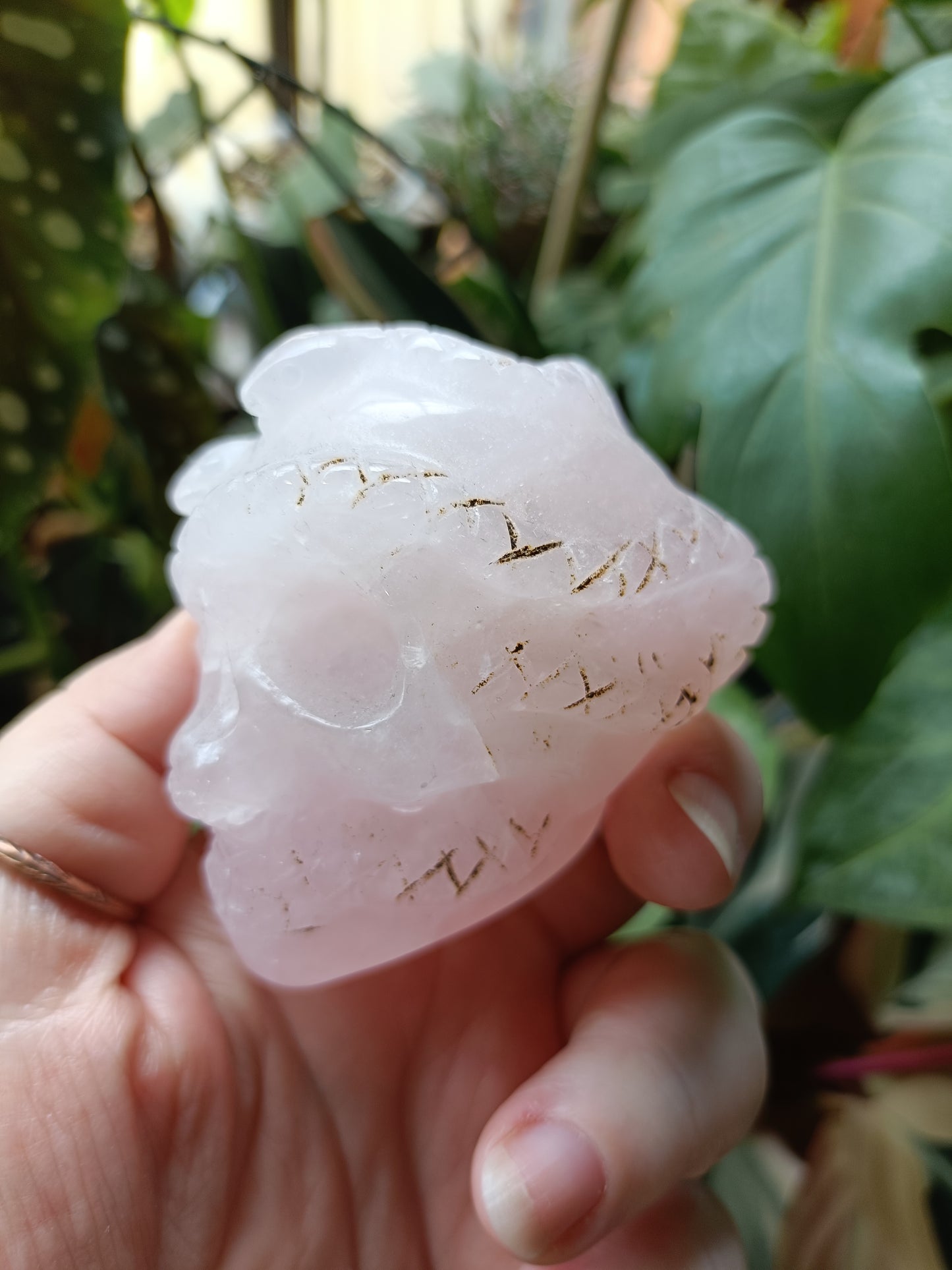 Rose Quartz Skull & Snake Carving - 262g