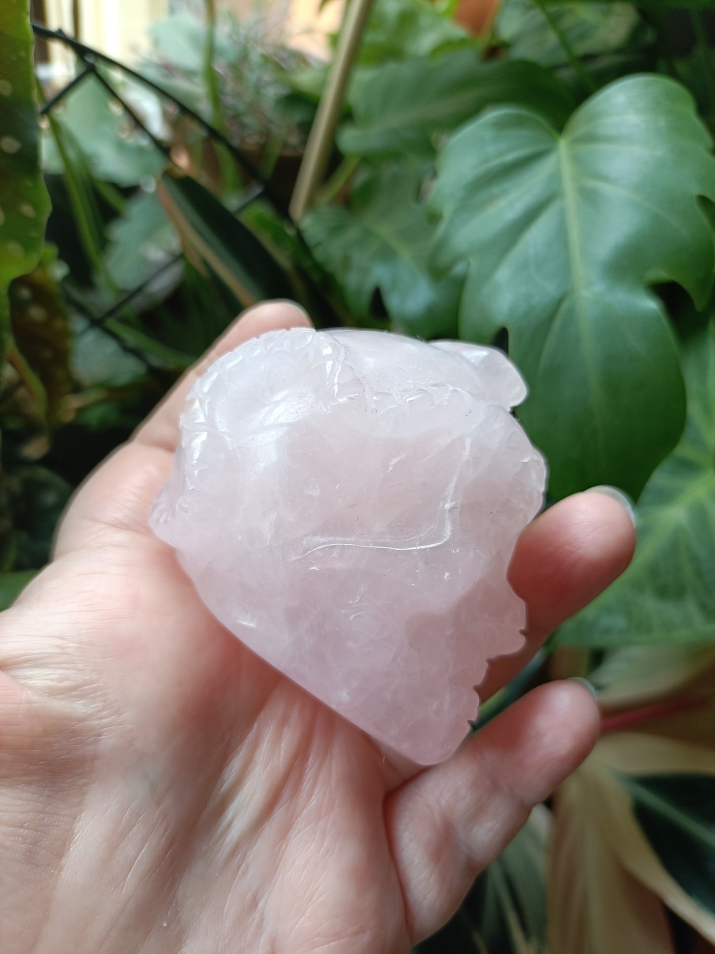 Rose Quartz Skull & Snake Carving - 262g