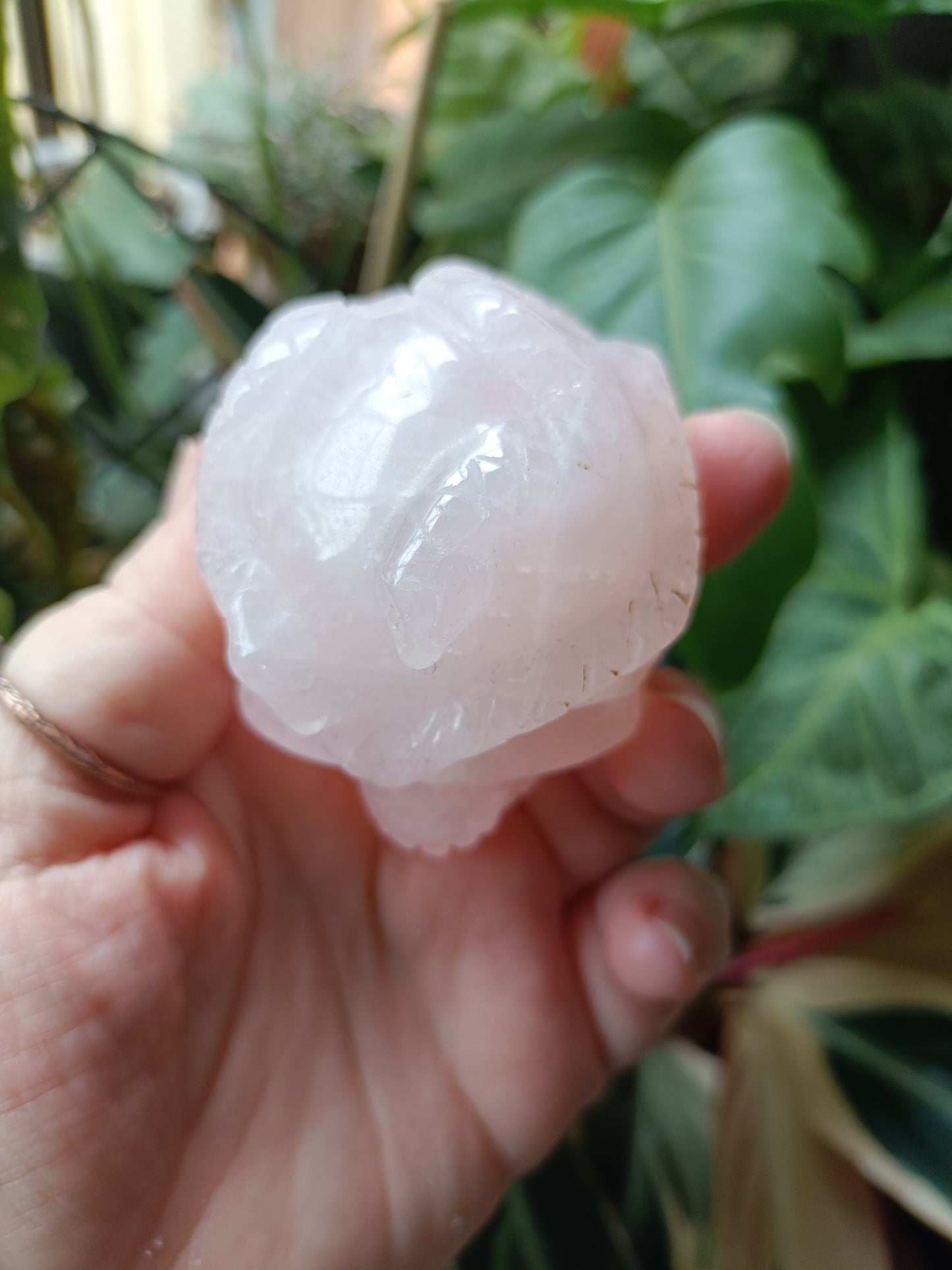 Rose Quartz Skull & Snake Carving - 262g