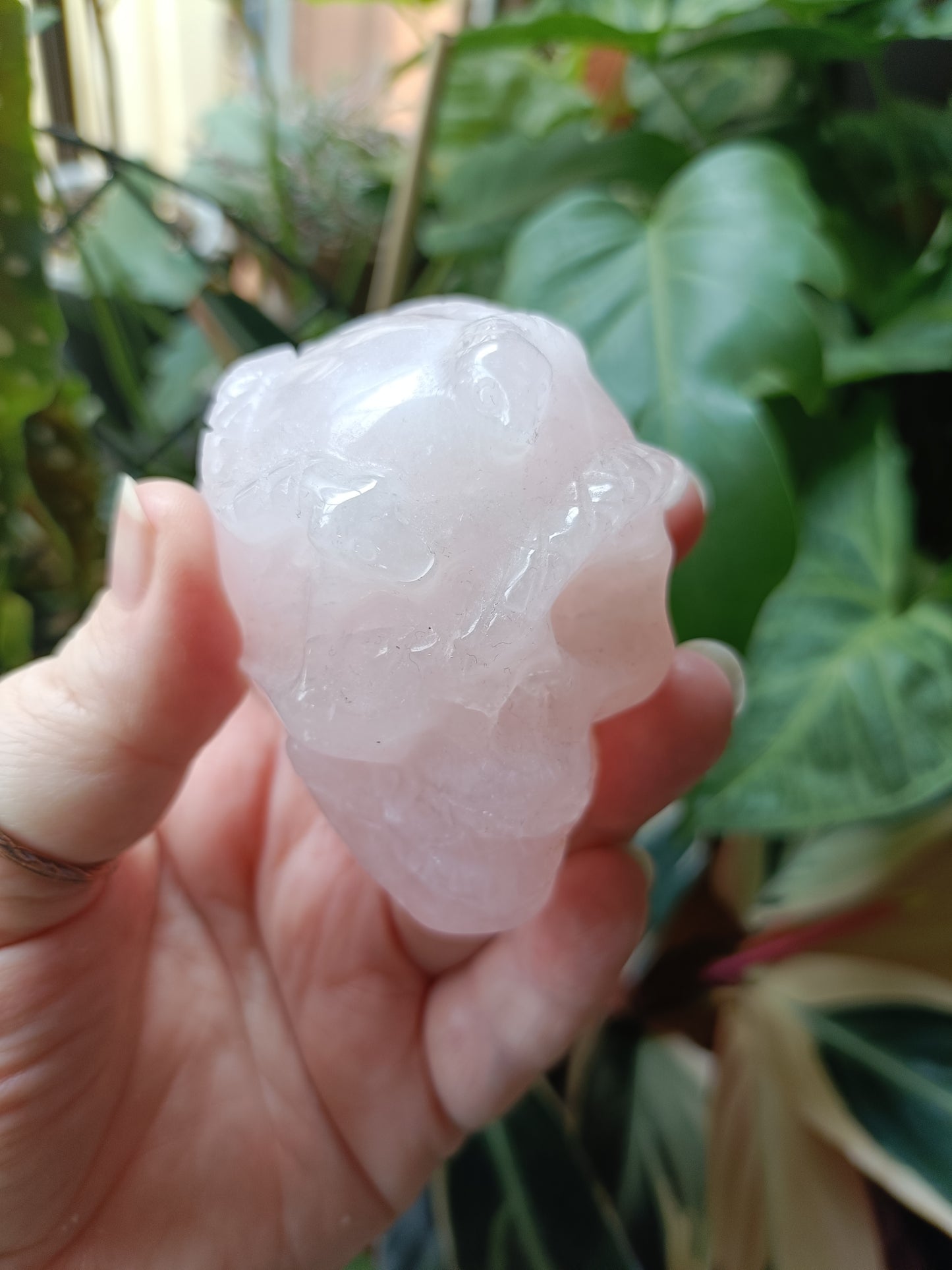 Rose Quartz Skull & Snake Carving - 262g
