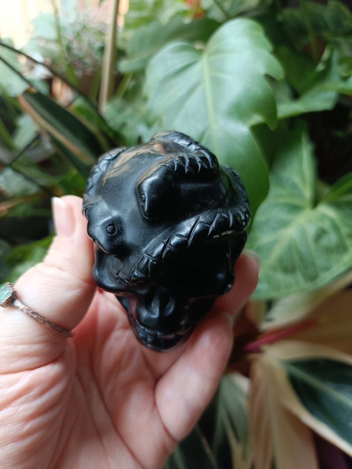 Black Obsidian Skull & Snake Carving - 237g
