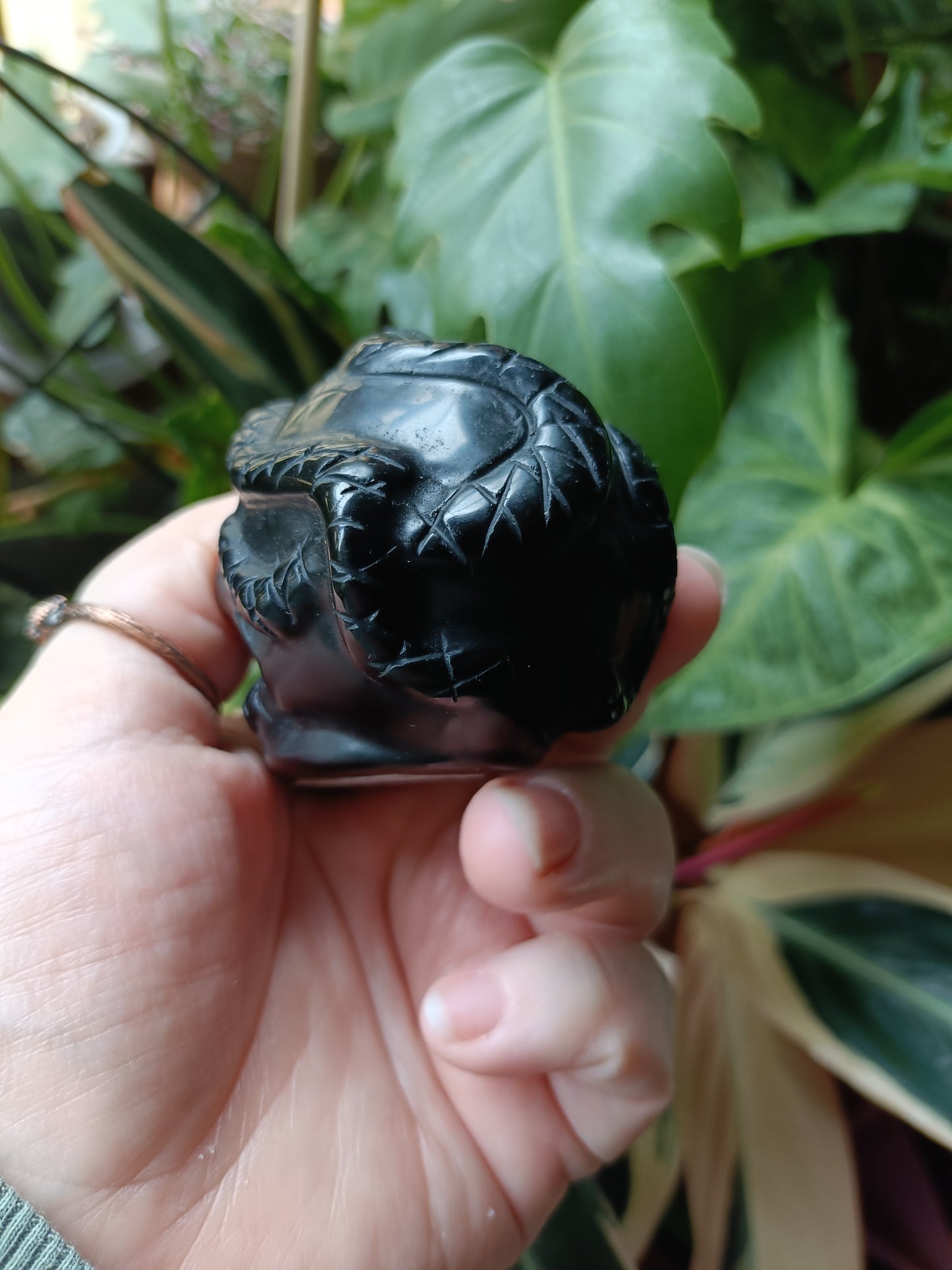 Black Obsidian Skull & Snake Carving - 237g