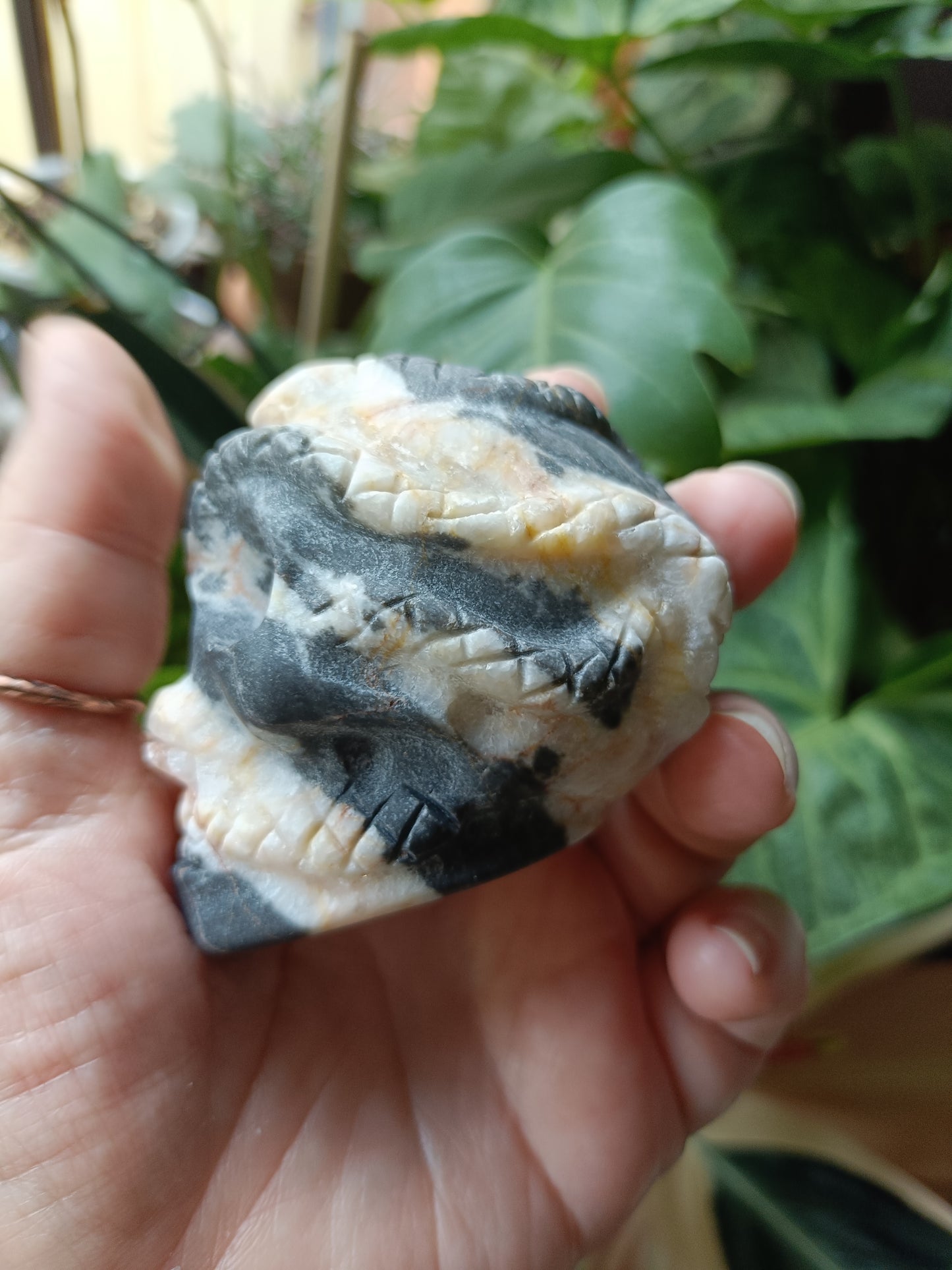 Zebra Jasper Skull & Snake Carving - 274g