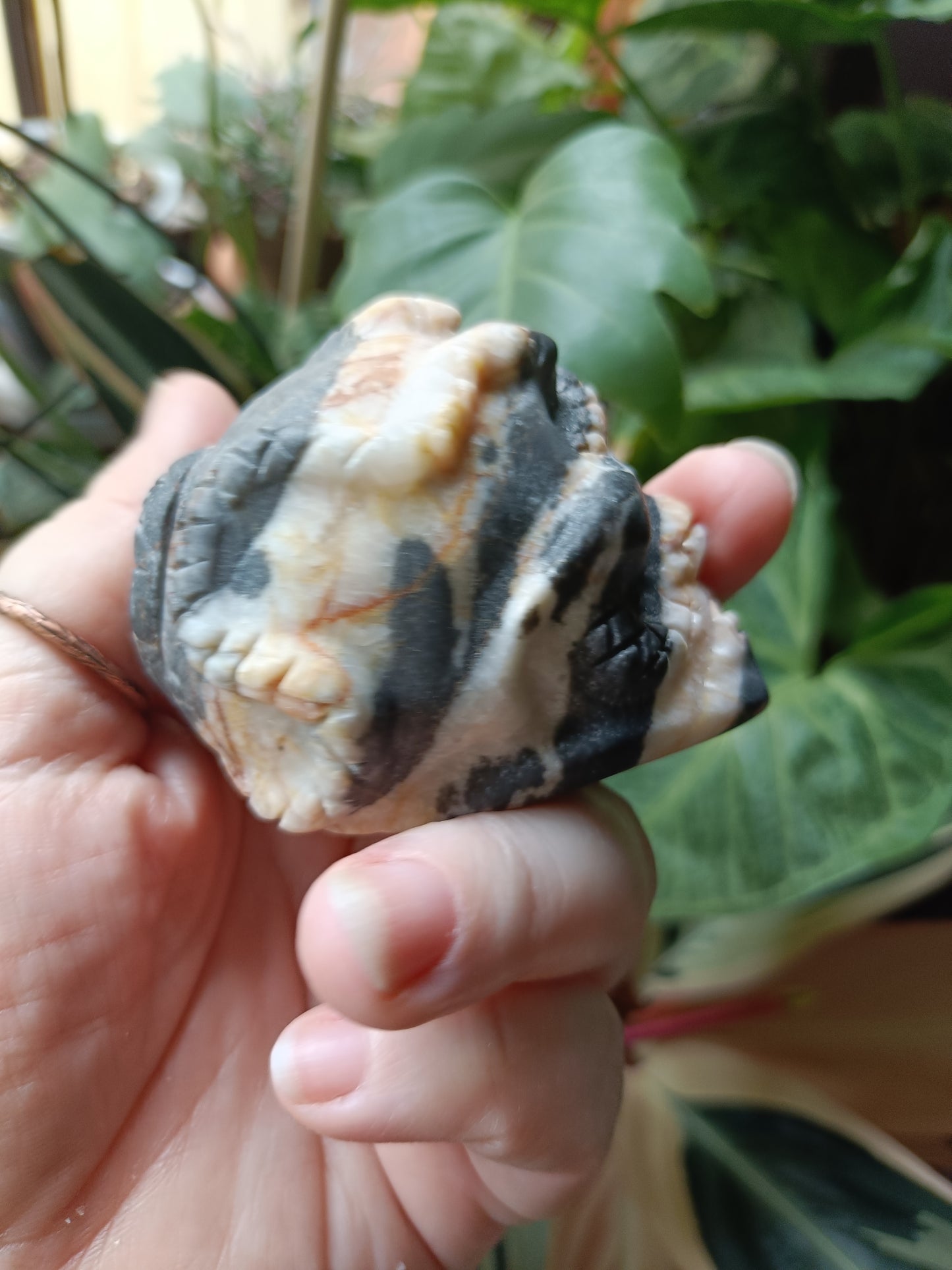 Zebra Jasper Skull & Snake Carving - 274g