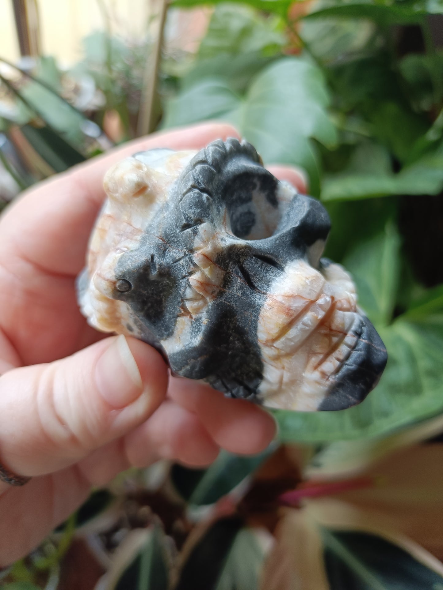 Zebra Jasper Skull & Snake Carving - 274g