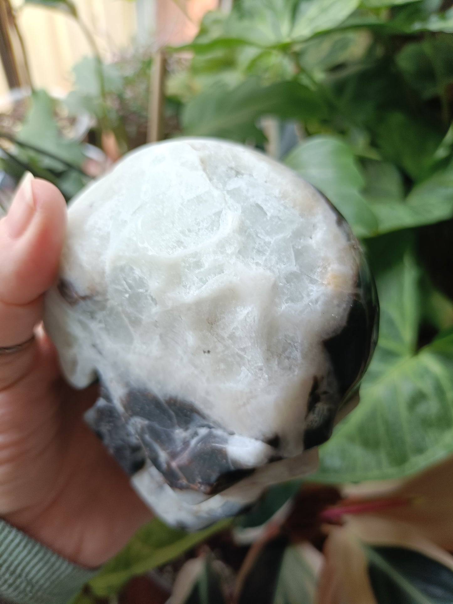 Blue Quartzite Skull Carving - 880g